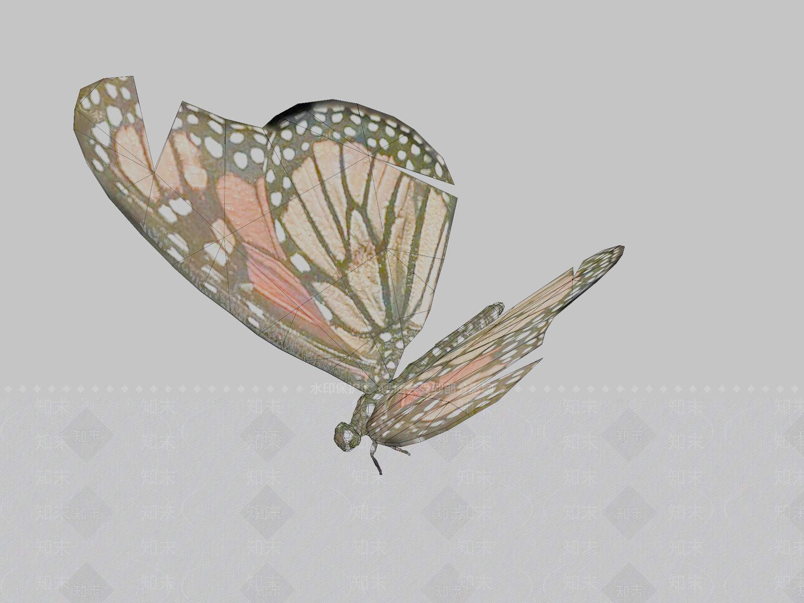 飞行类动物3D模型下载【ID:1196677292】