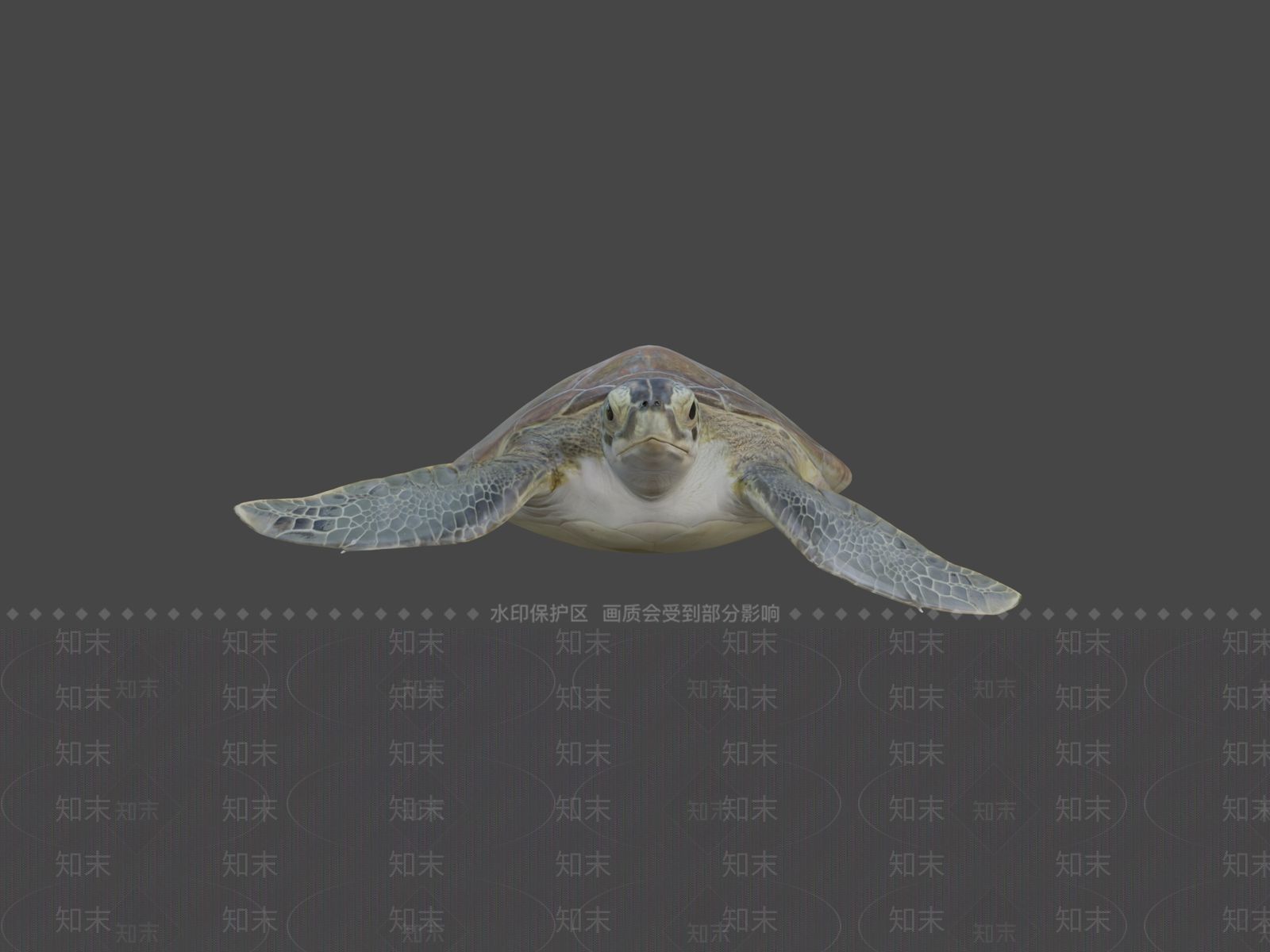 生活用品3D模型渲染效果图