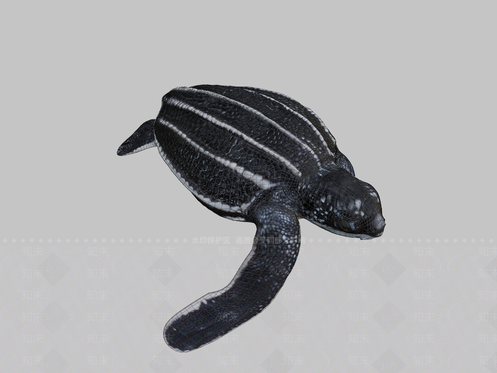 其他动物皮龟3D模型下载【ID:1196683289】