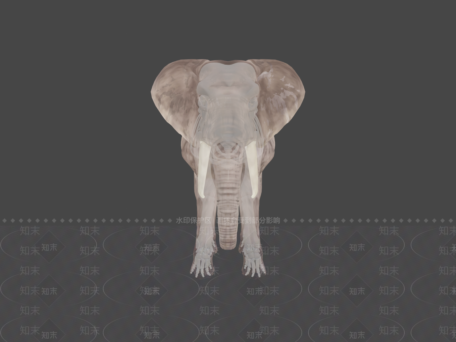 其他动物3D模型下载【ID:1196685402】