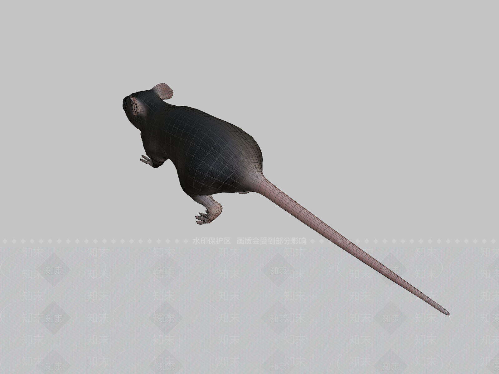 其他动物3D模型下载【ID:1196694600】