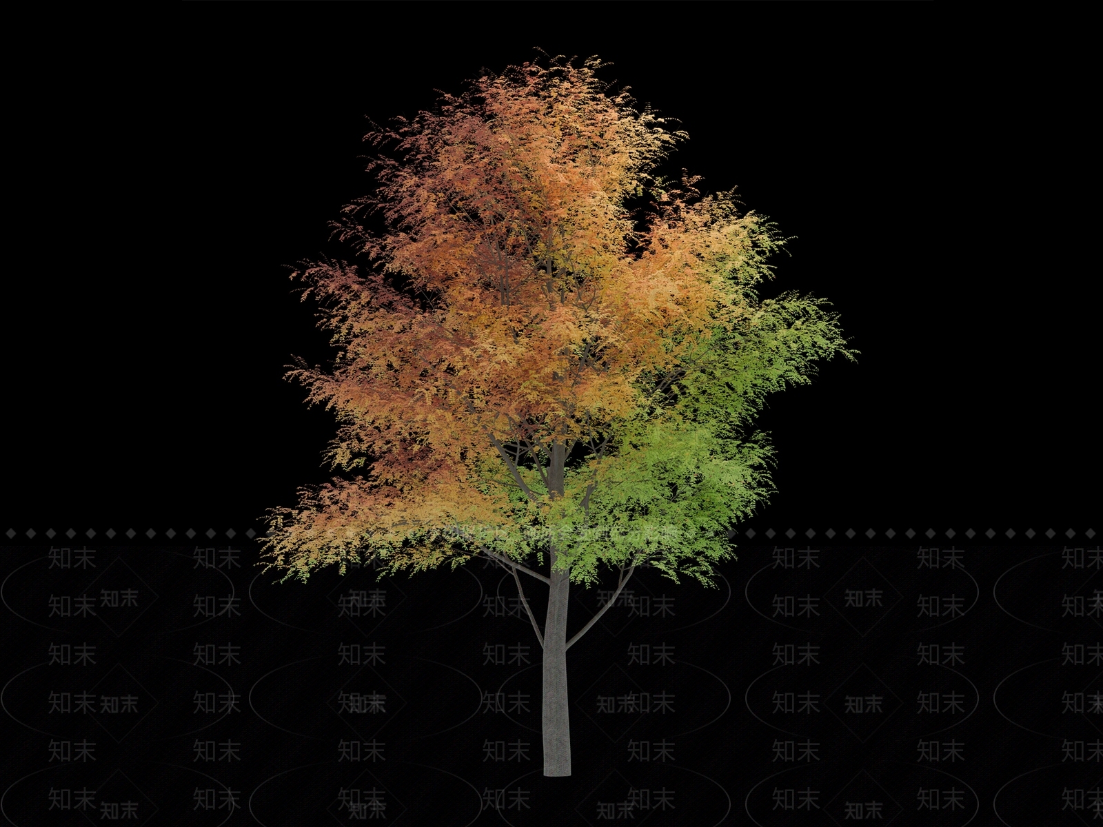 乔木3D模型下载【ID:1196695666】