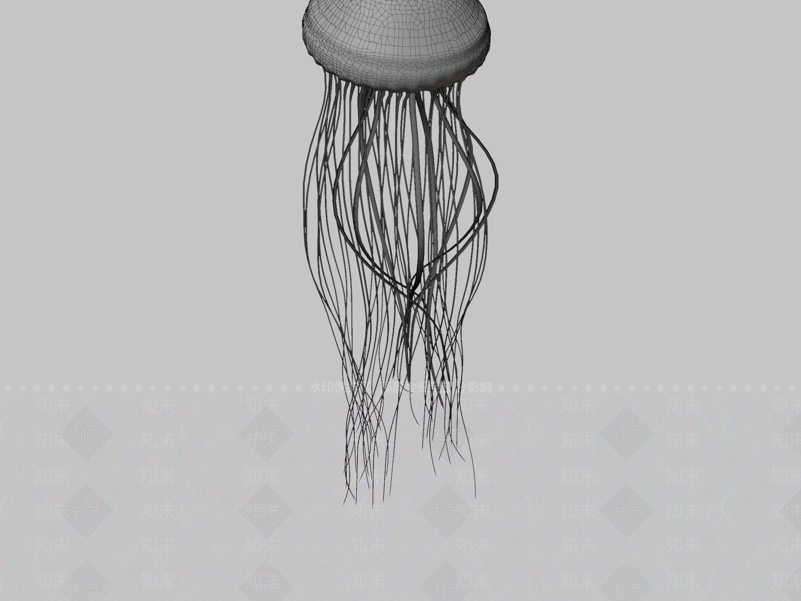 其他动物3D模型下载【ID:1196695345】
