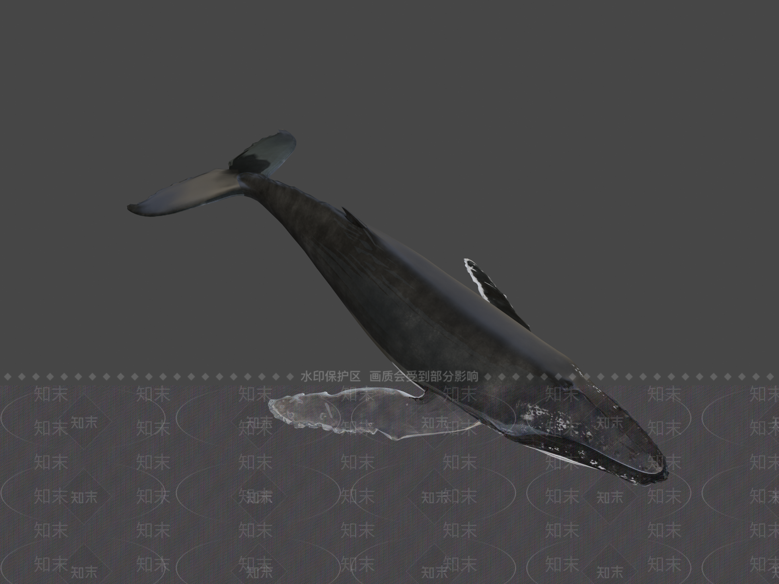 其他动物3D模型下载【ID:1196696028】