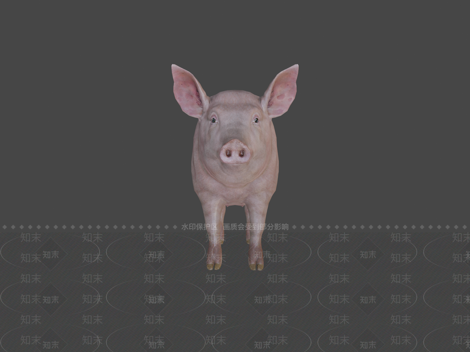 其他动物3D模型下载【ID:1196707007】