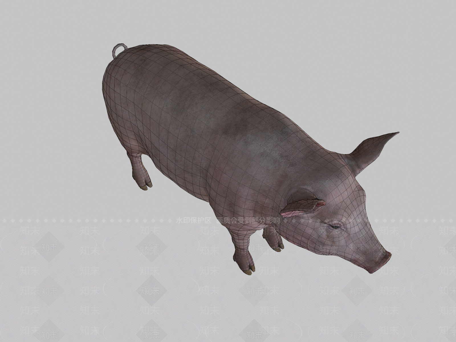 其他动物3D模型下载【ID:1196707007】