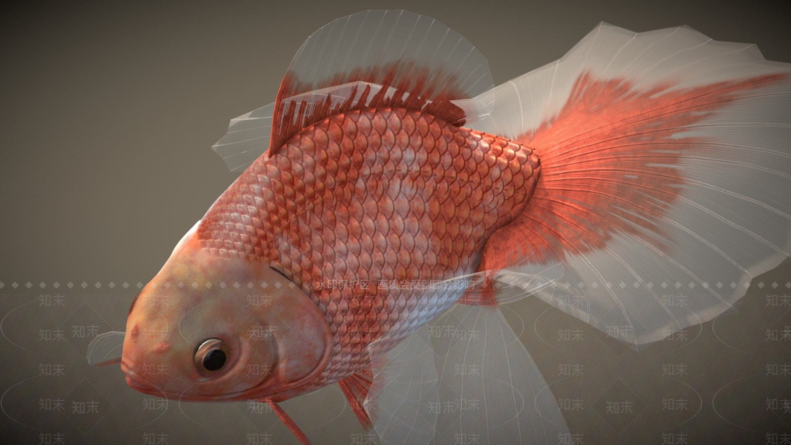 其他动物3D模型下载【ID:1196709770】