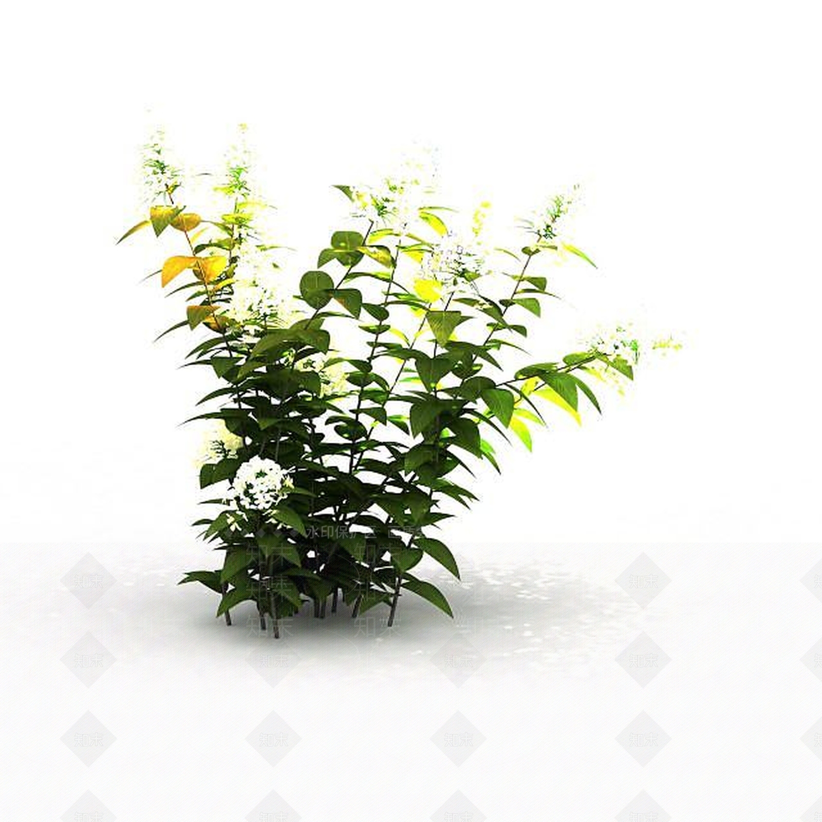现代野黄花3D模型下载【ID:1196710278】
