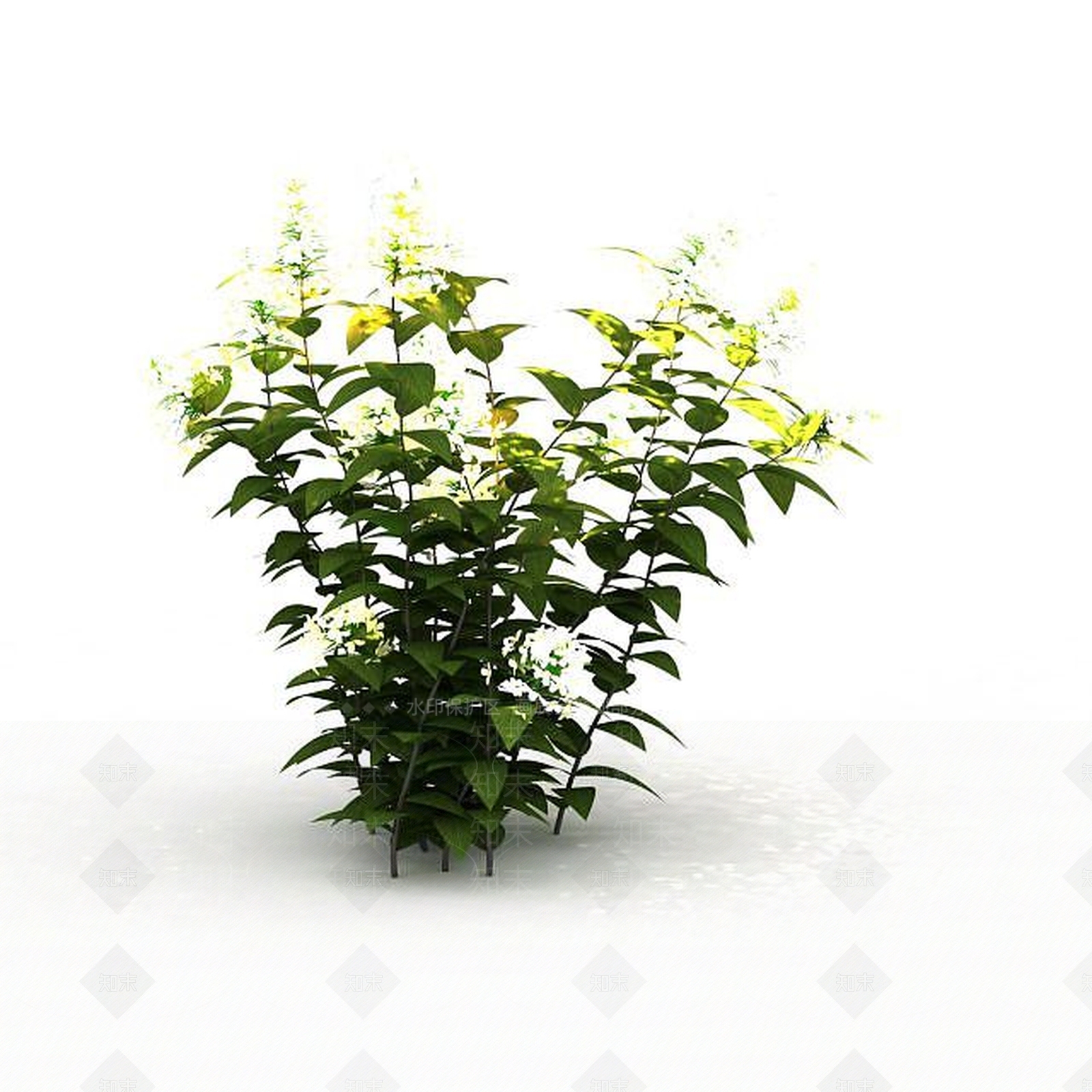 现代野黄花3D模型下载【ID:1196710278】