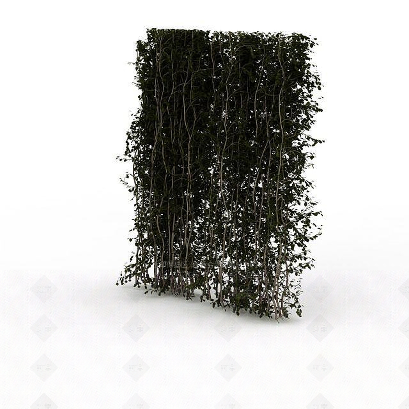 现代植物隔离带3D模型下载【ID:1196710587】