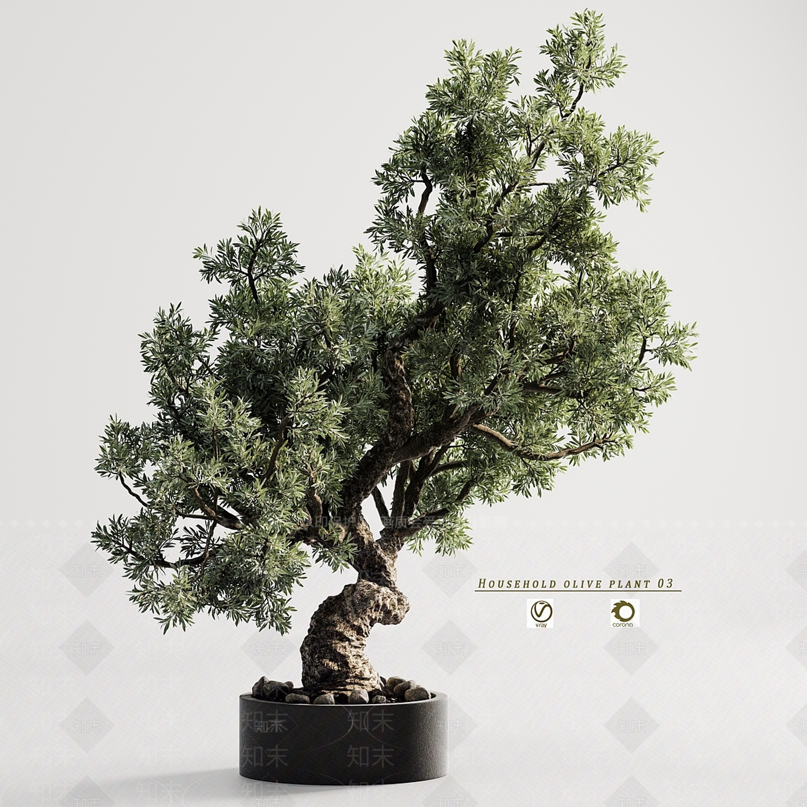 盆栽3D模型下载【ID:1196713328】