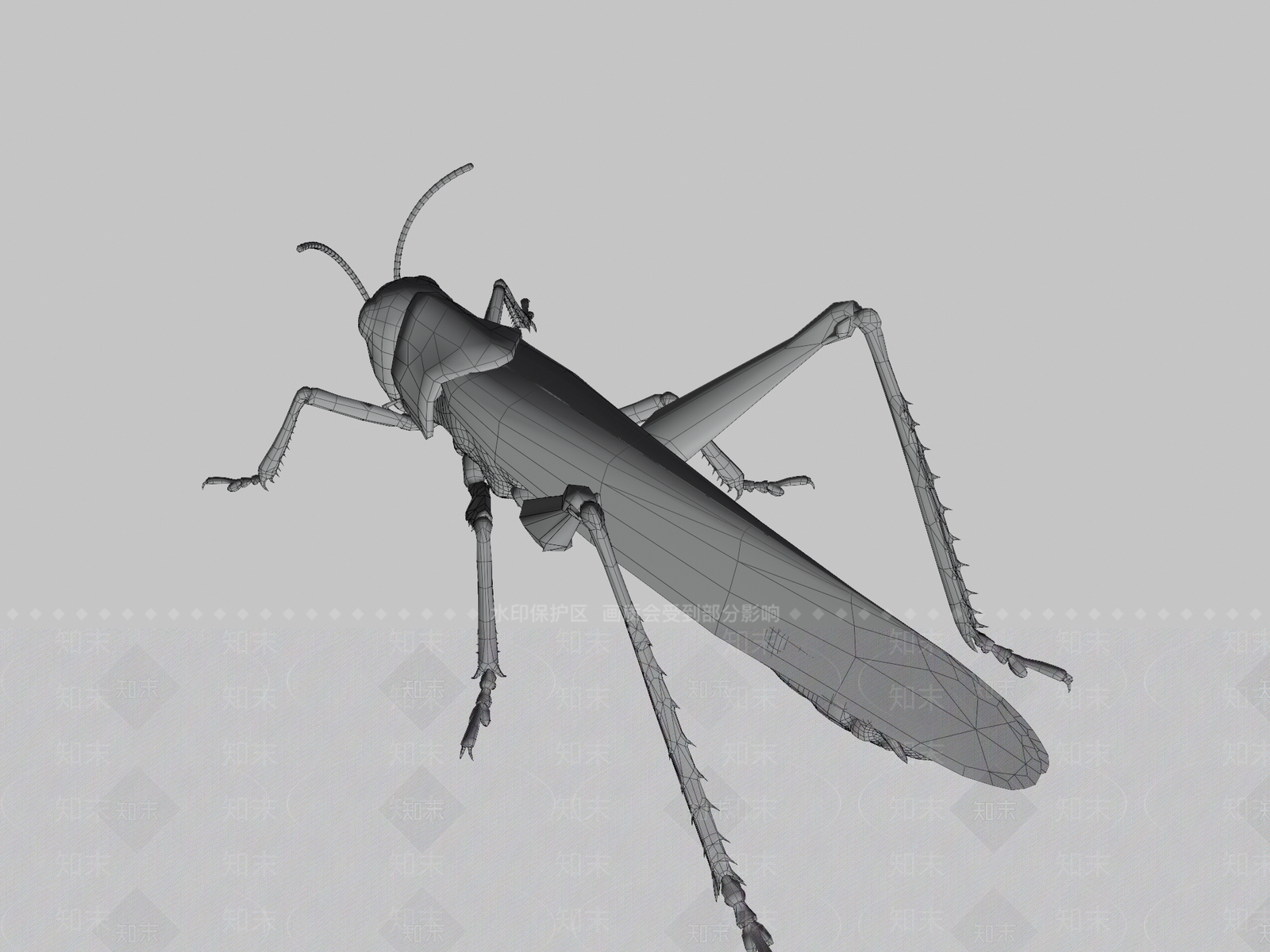 飞行类动物3D模型下载【ID:1196718092】