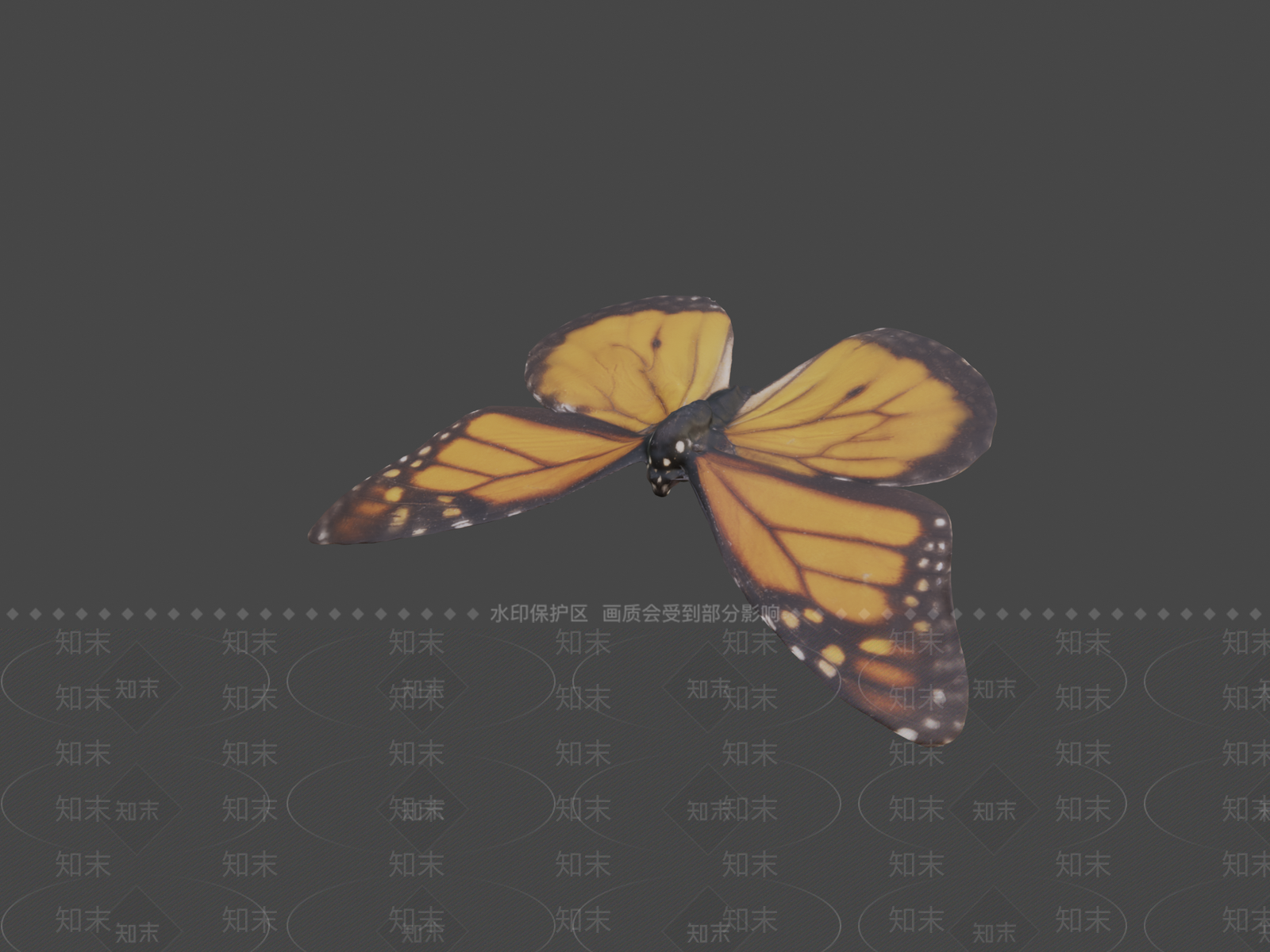 飞行类动物3D模型下载【ID:1196718446】