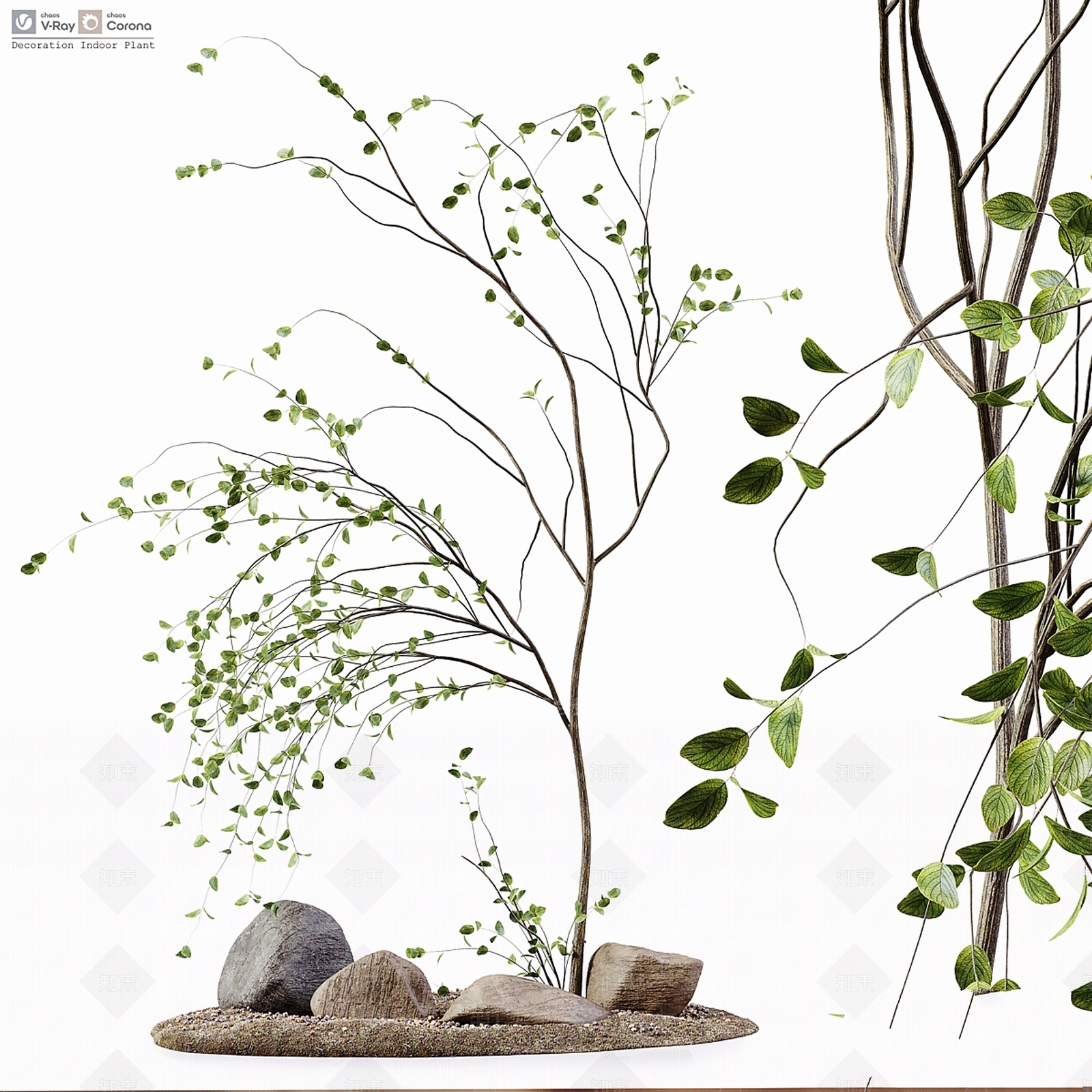 盆栽3D模型下载【ID:1196718825】