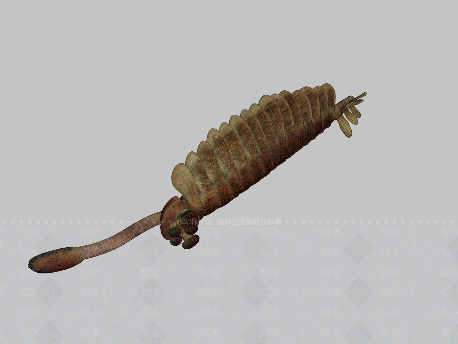 其他动物3D模型下载【ID:1196720985】