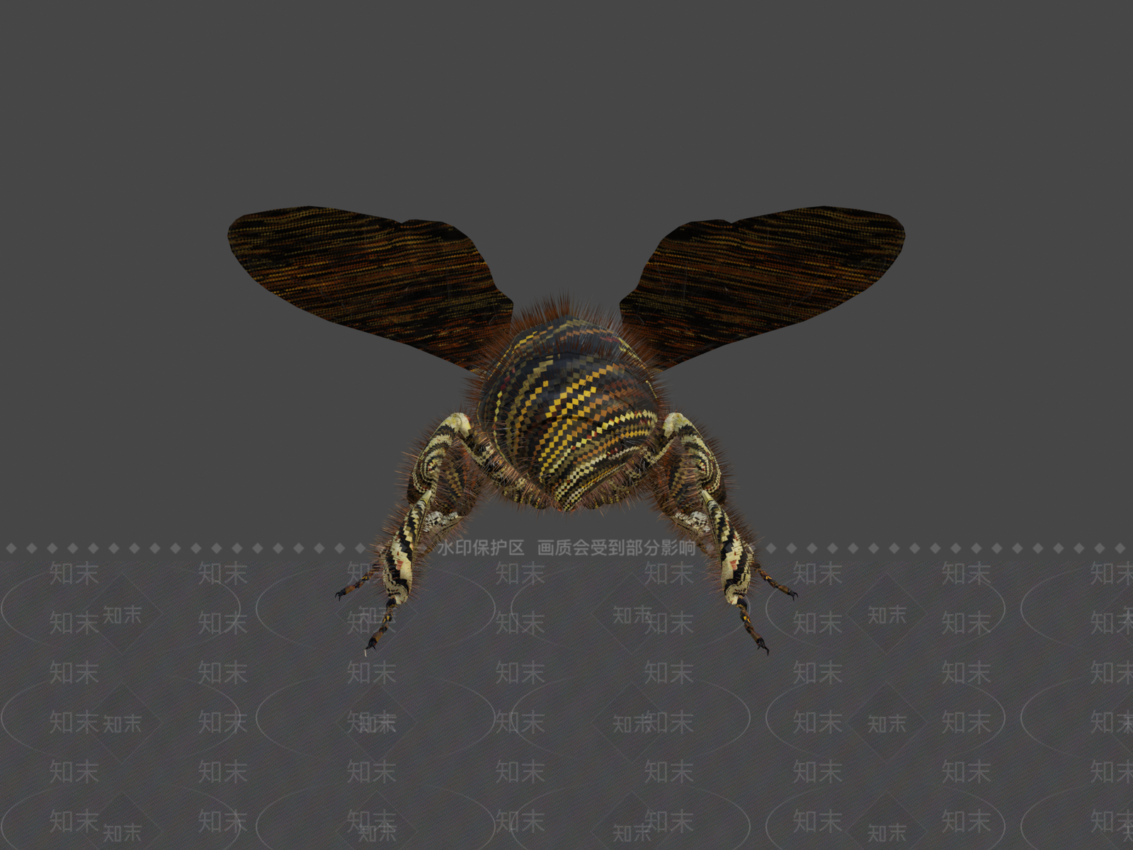其他动物3D模型下载【ID:1196722110】