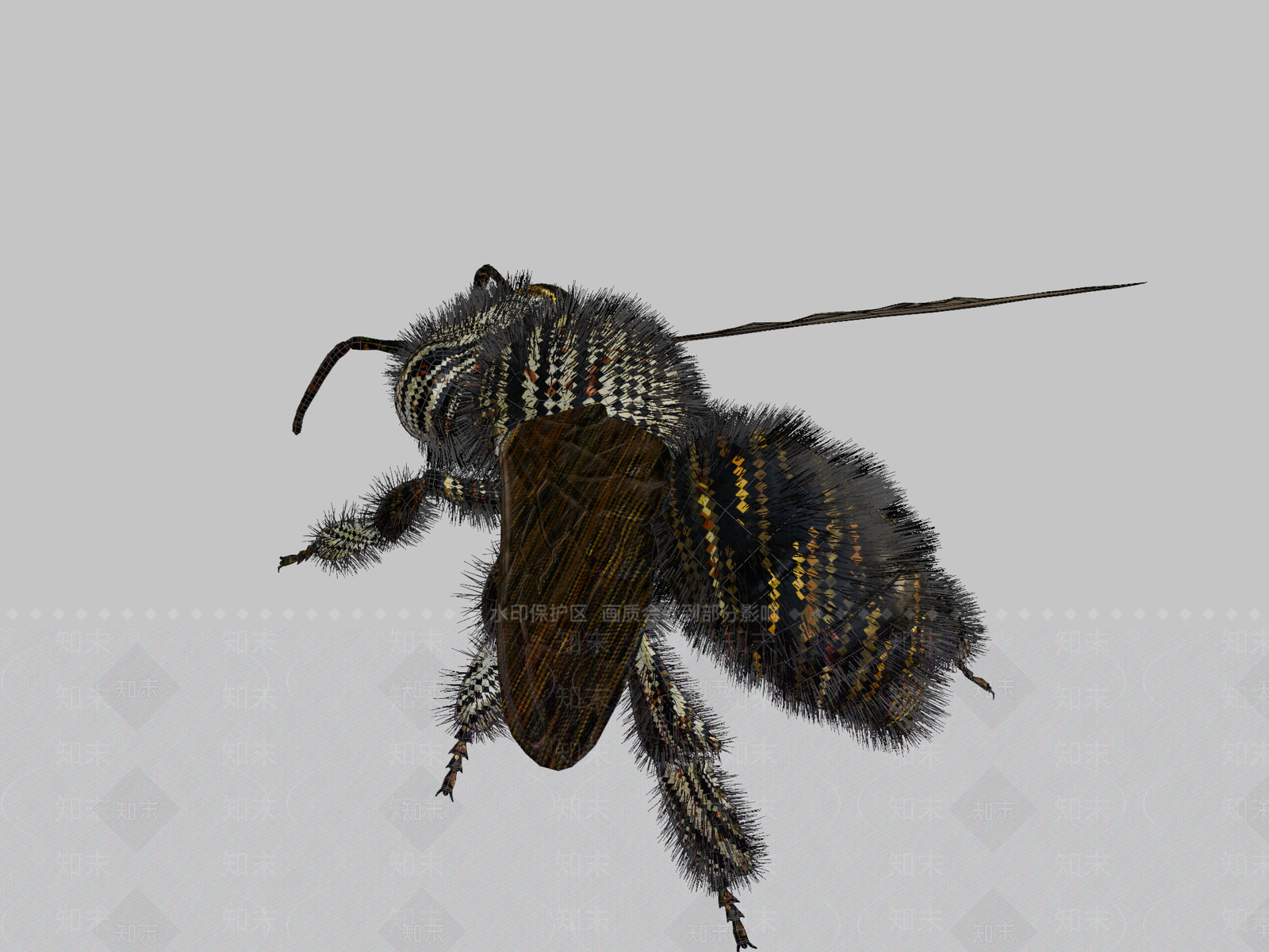 其他动物3D模型下载【ID:1196722110】