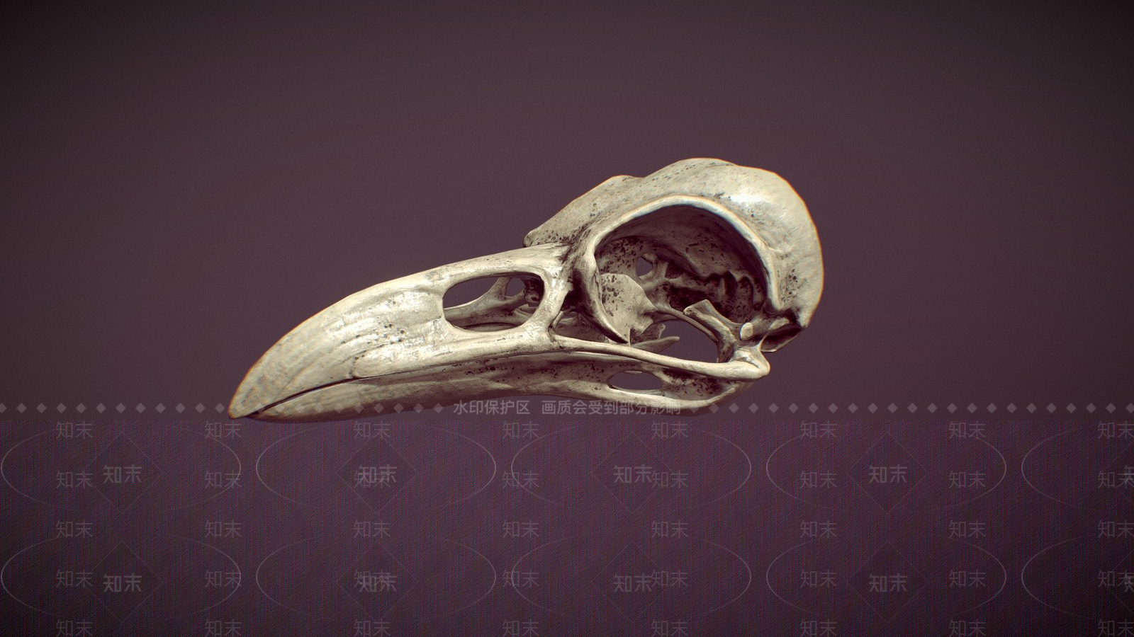 其他动物3D模型下载【ID:1196724042】