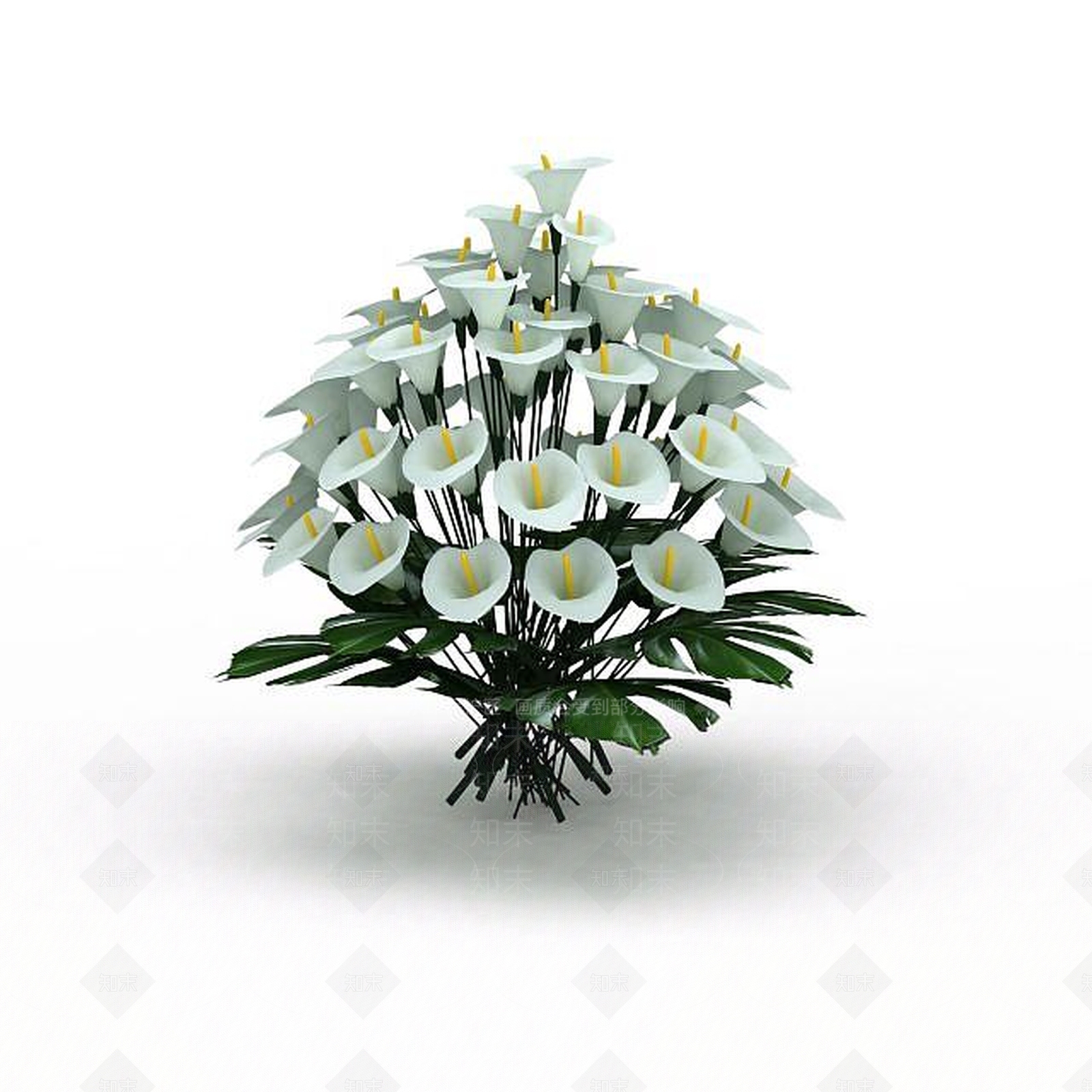 现代白掌鲜花3D模型下载【ID:1196730158】