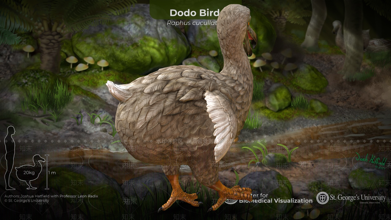 飞行类动物3D模型下载【ID:1196732222】
