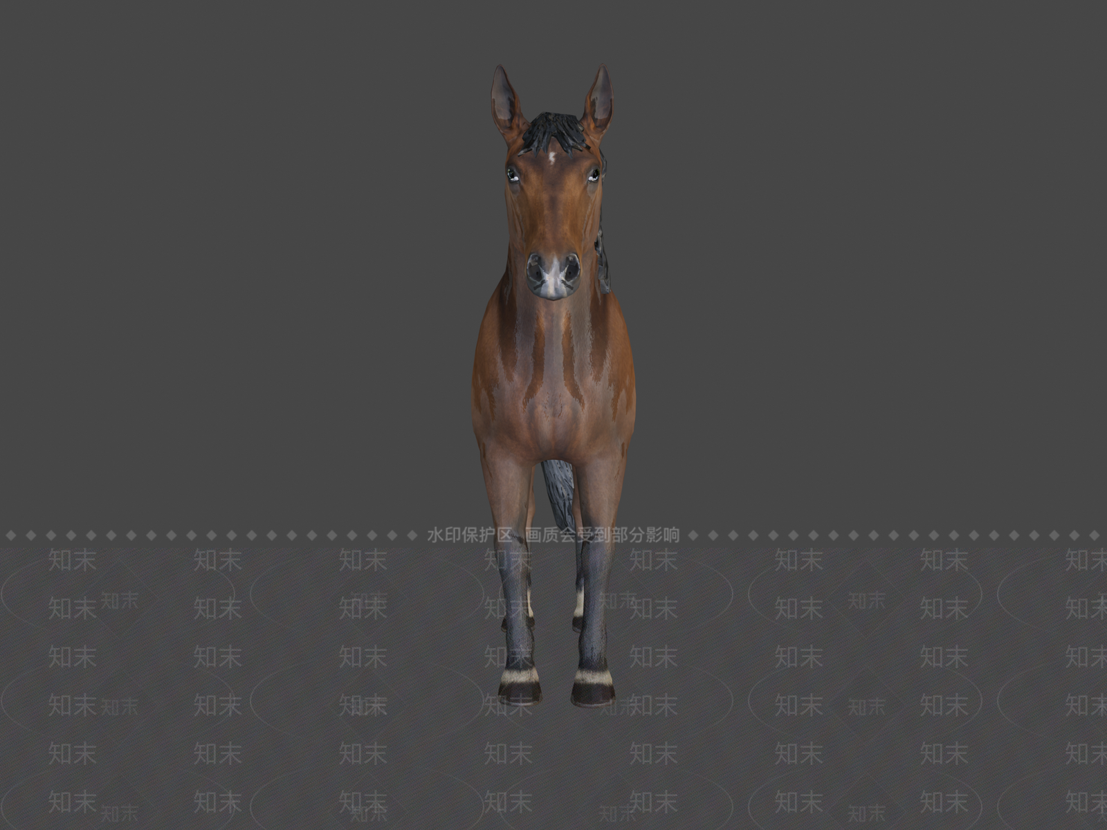 其他动物3D模型下载【ID:1196734018】