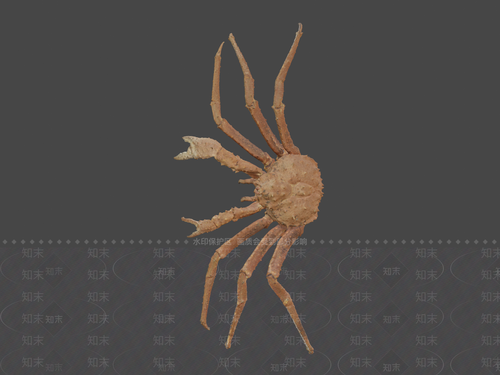 酒水食物3D模型下载【ID:1196734380】