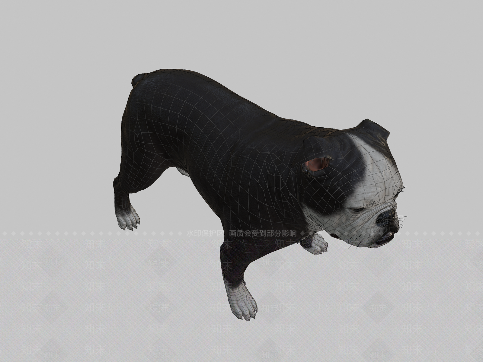 其他动物3D模型下载【ID:1196735572】