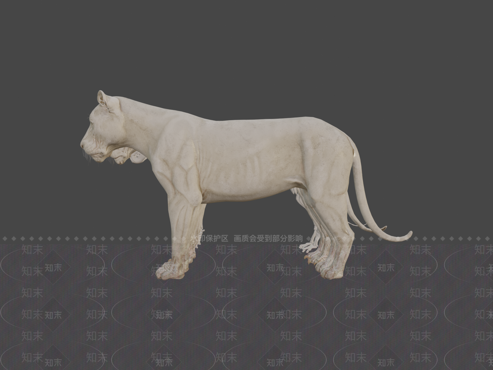 其他动物3D模型下载【ID:1196736466】