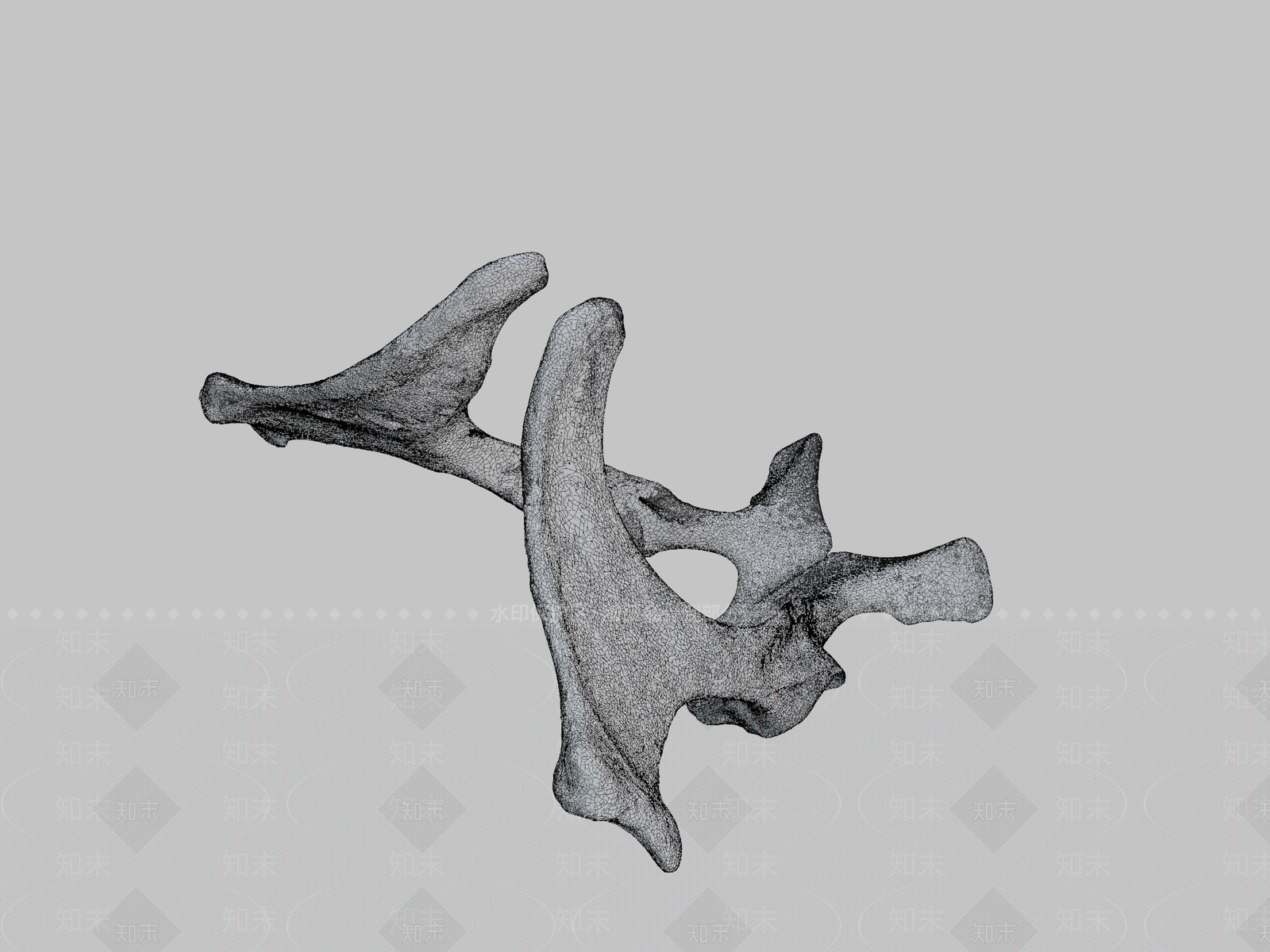 其他动物3D模型下载【ID:1196737742】
