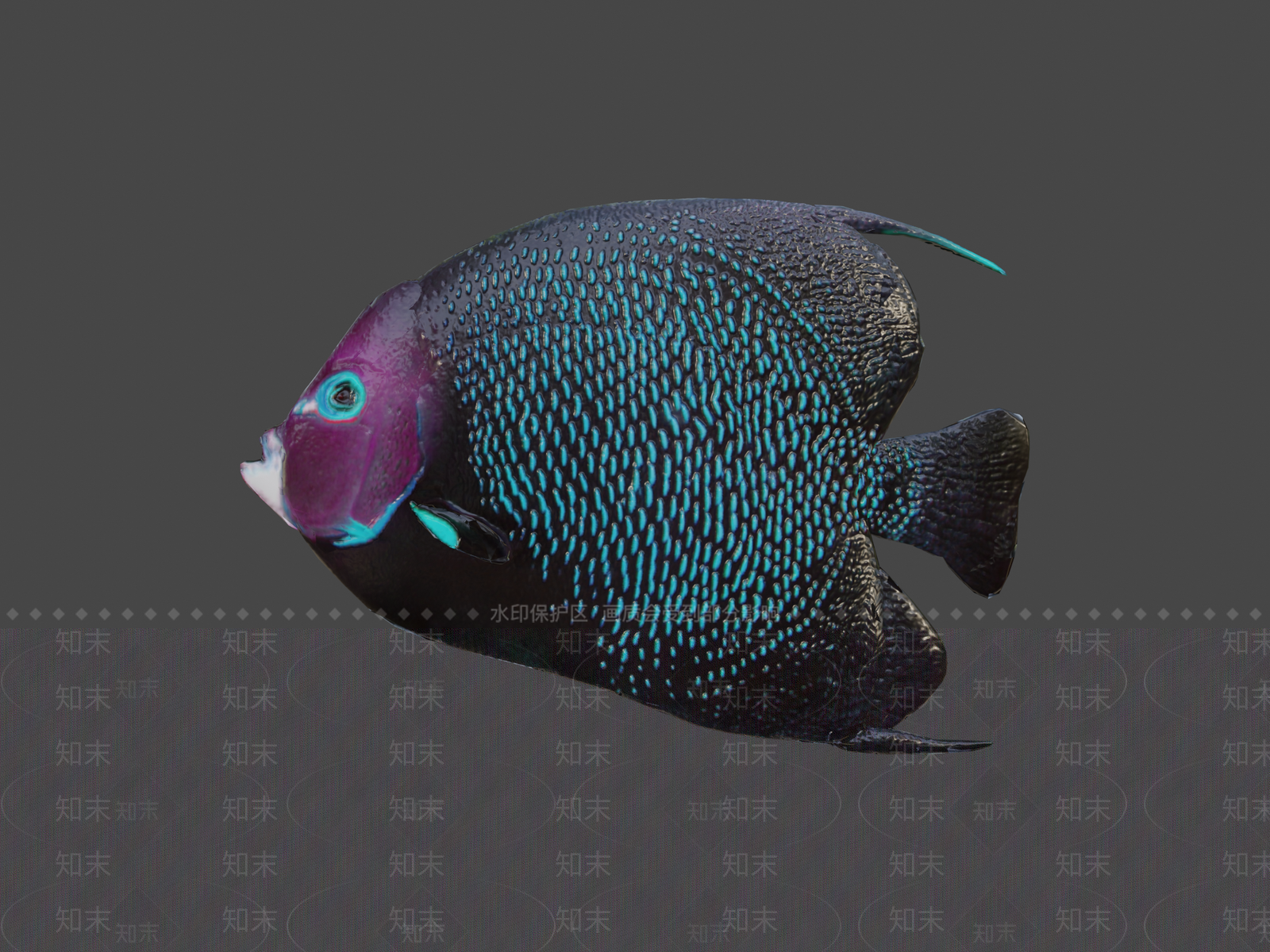其他动物3D模型下载【ID:1196738451】