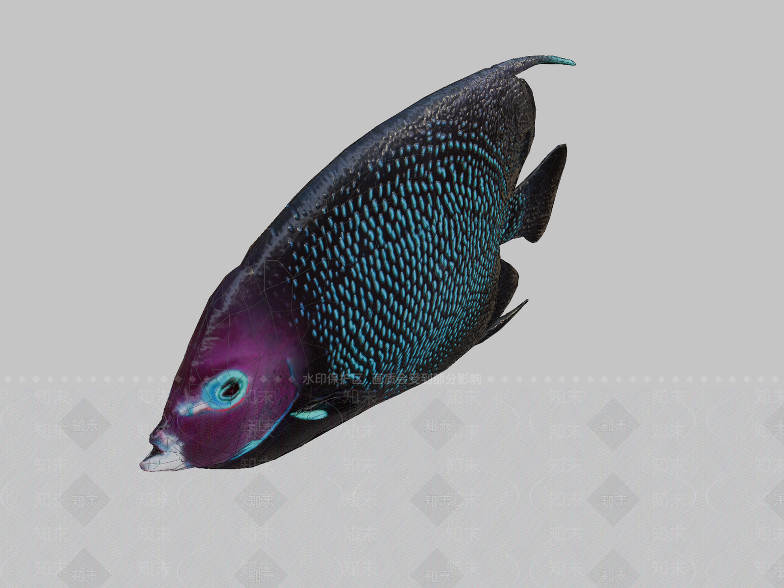 其他动物3D模型下载【ID:1196738451】