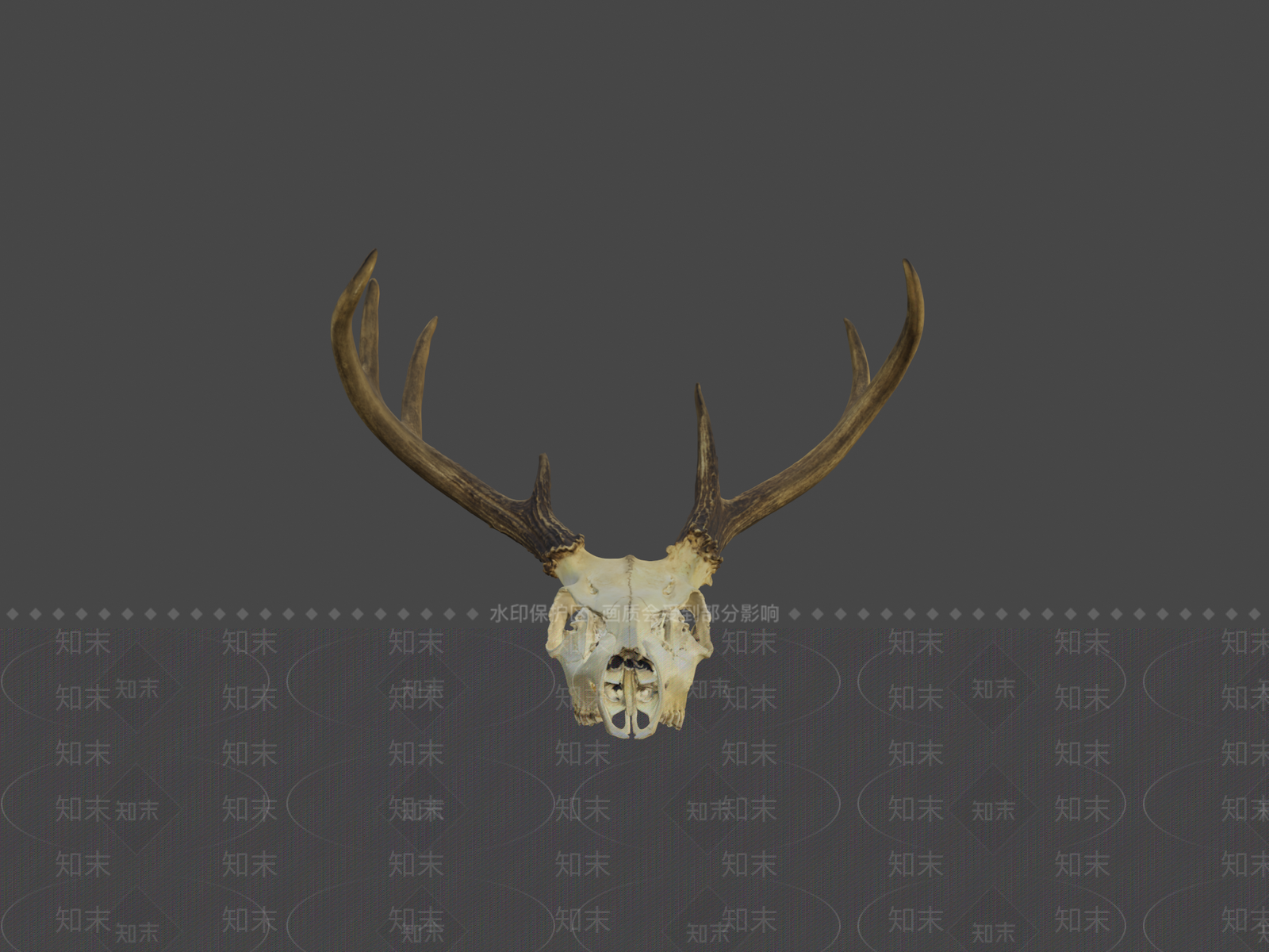 其他动物3D模型下载【ID:1196741966】