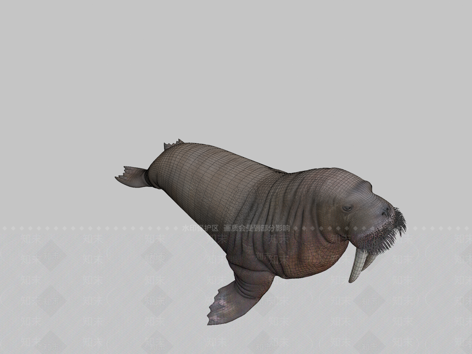 其他动物3D模型下载【ID:1196745711】