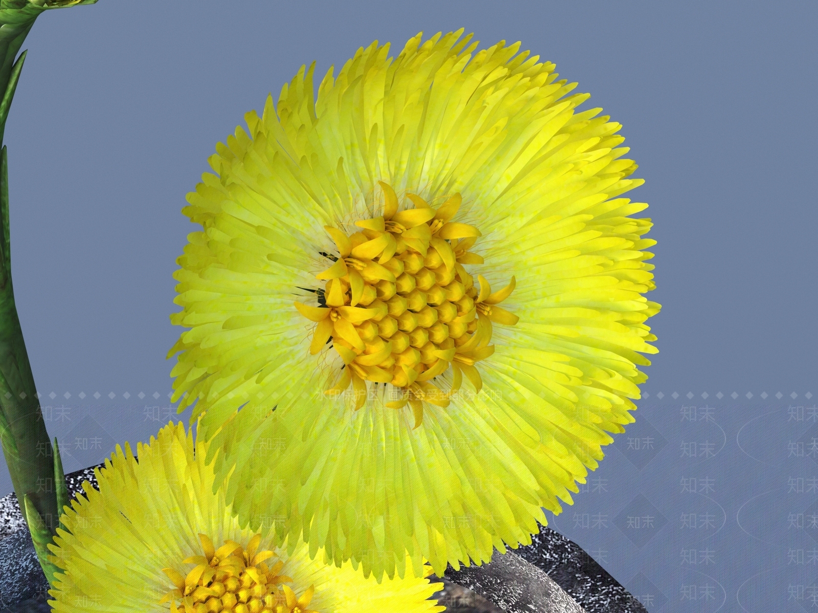 盆栽3D模型下载【ID:1196747877】