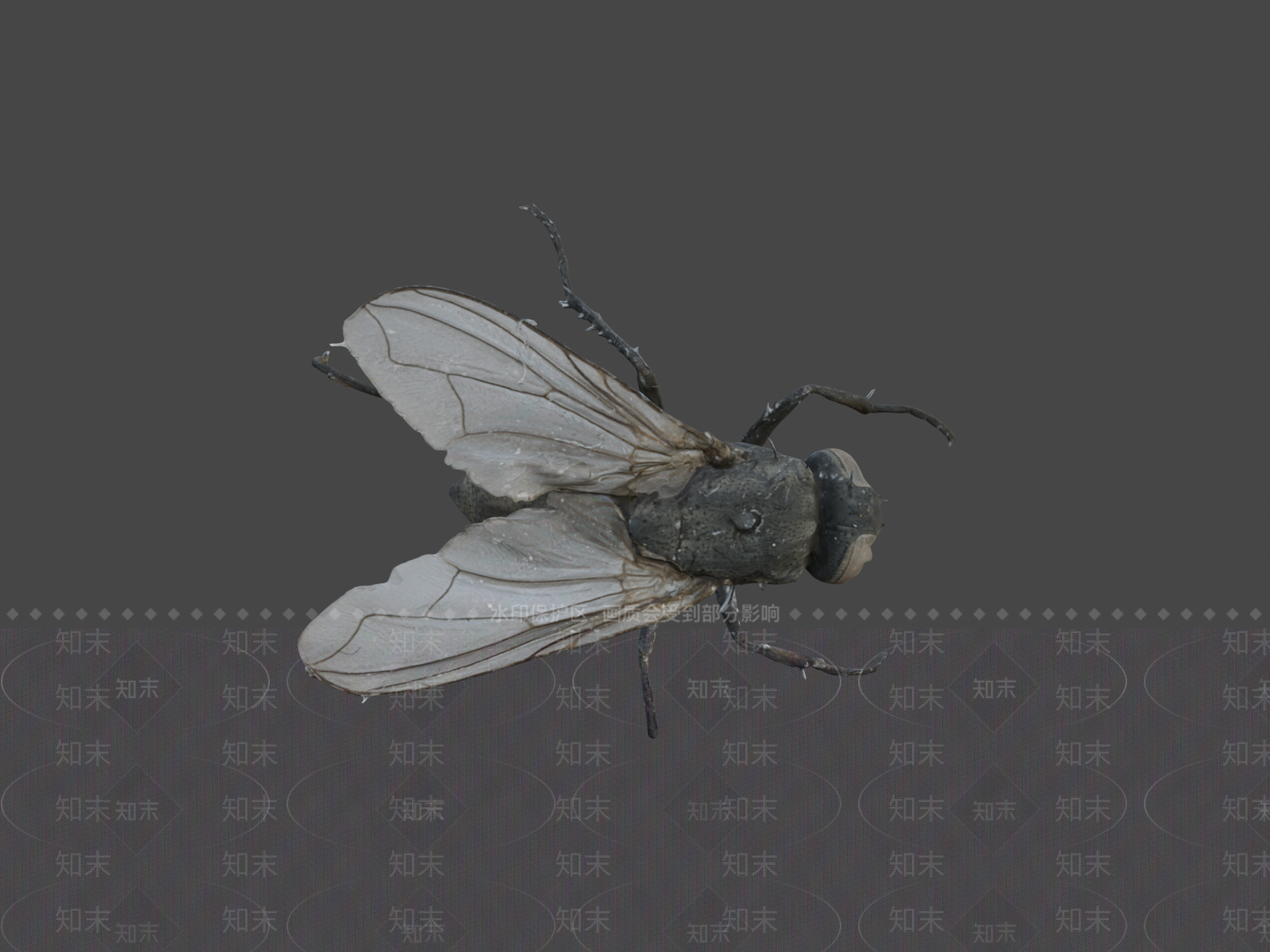 其他动物3D模型下载【ID:1196747899】
