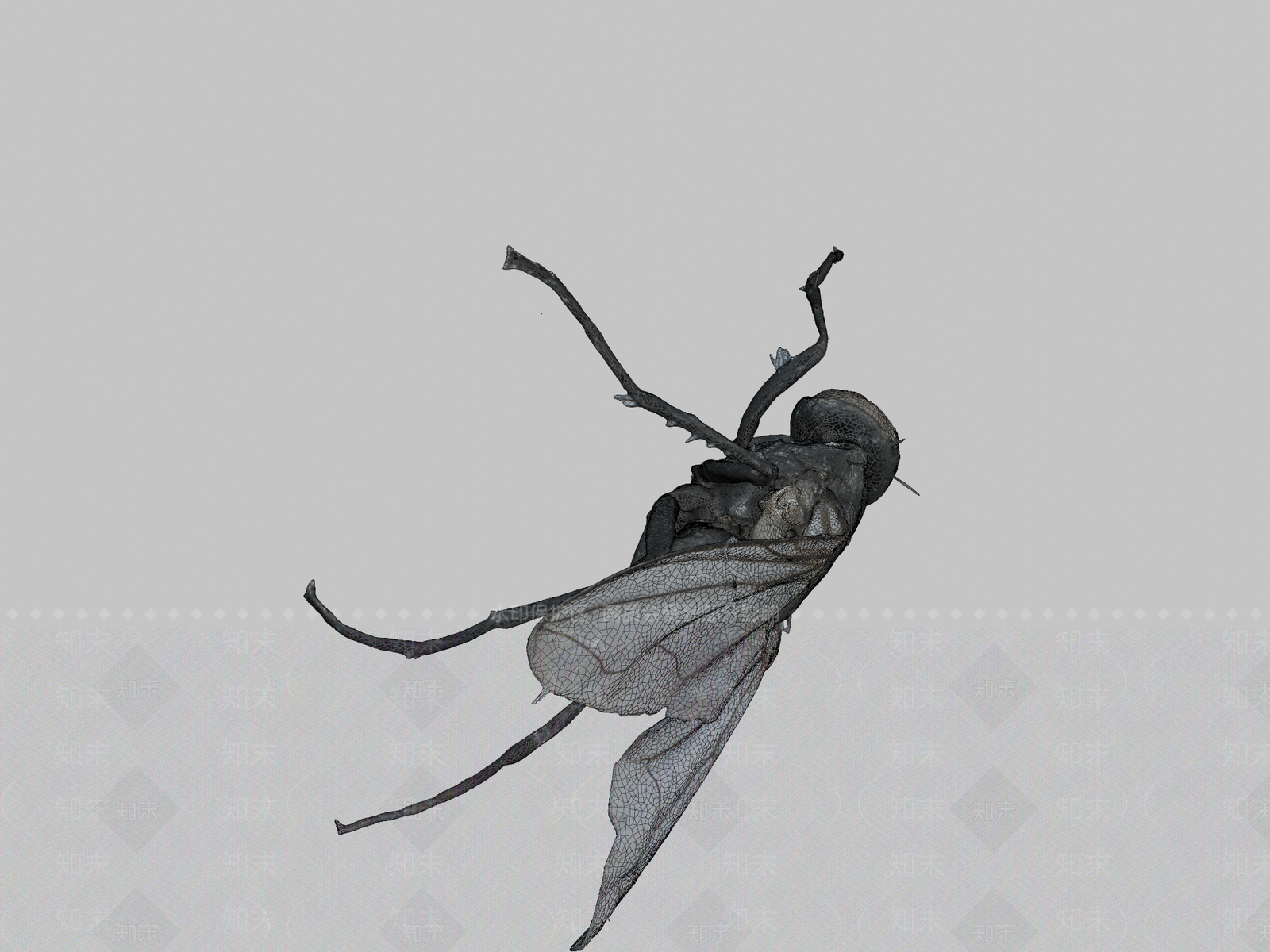 其他动物3D模型下载【ID:1196747899】
