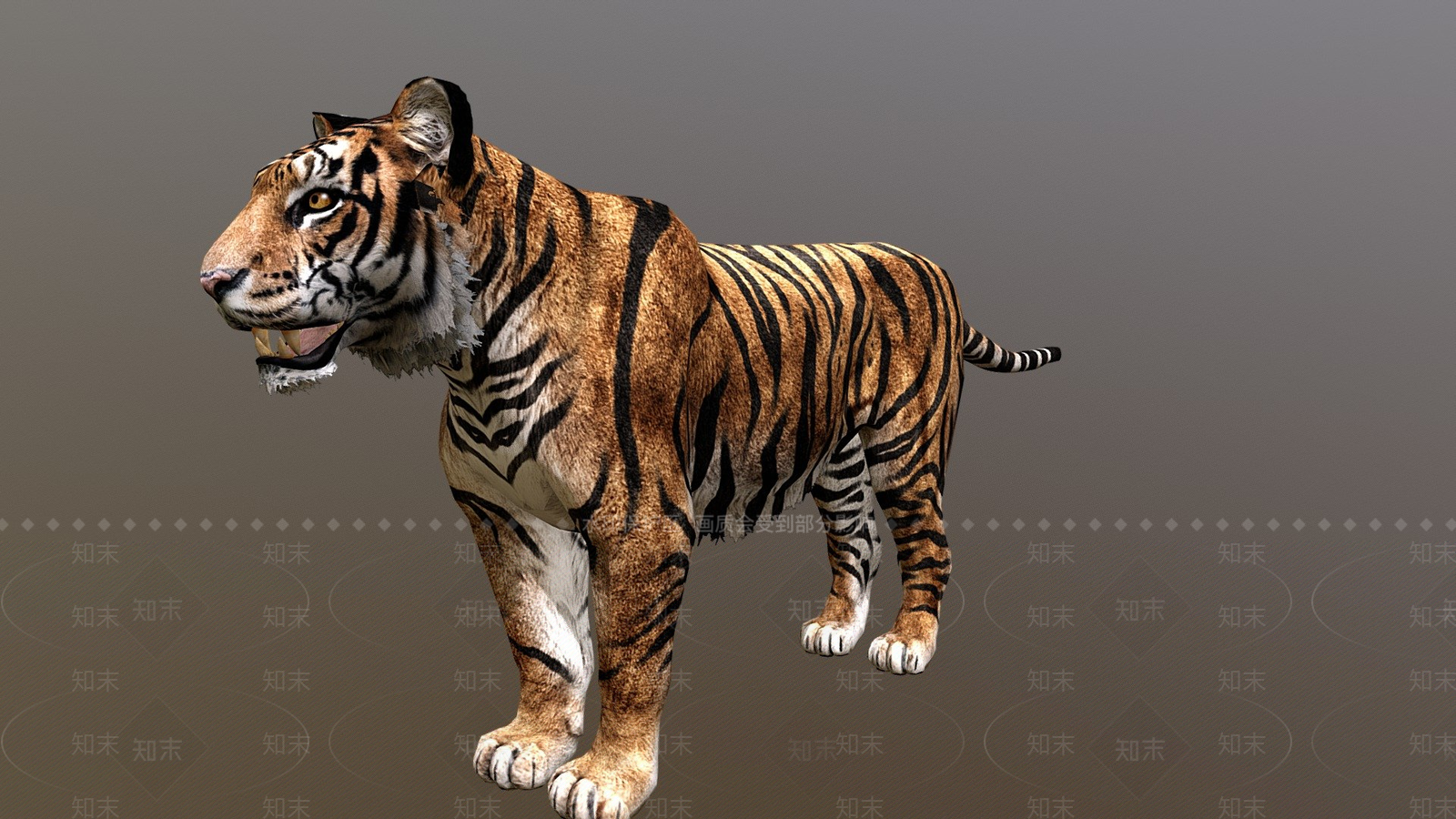 其他动物3D模型下载【ID:1196749302】