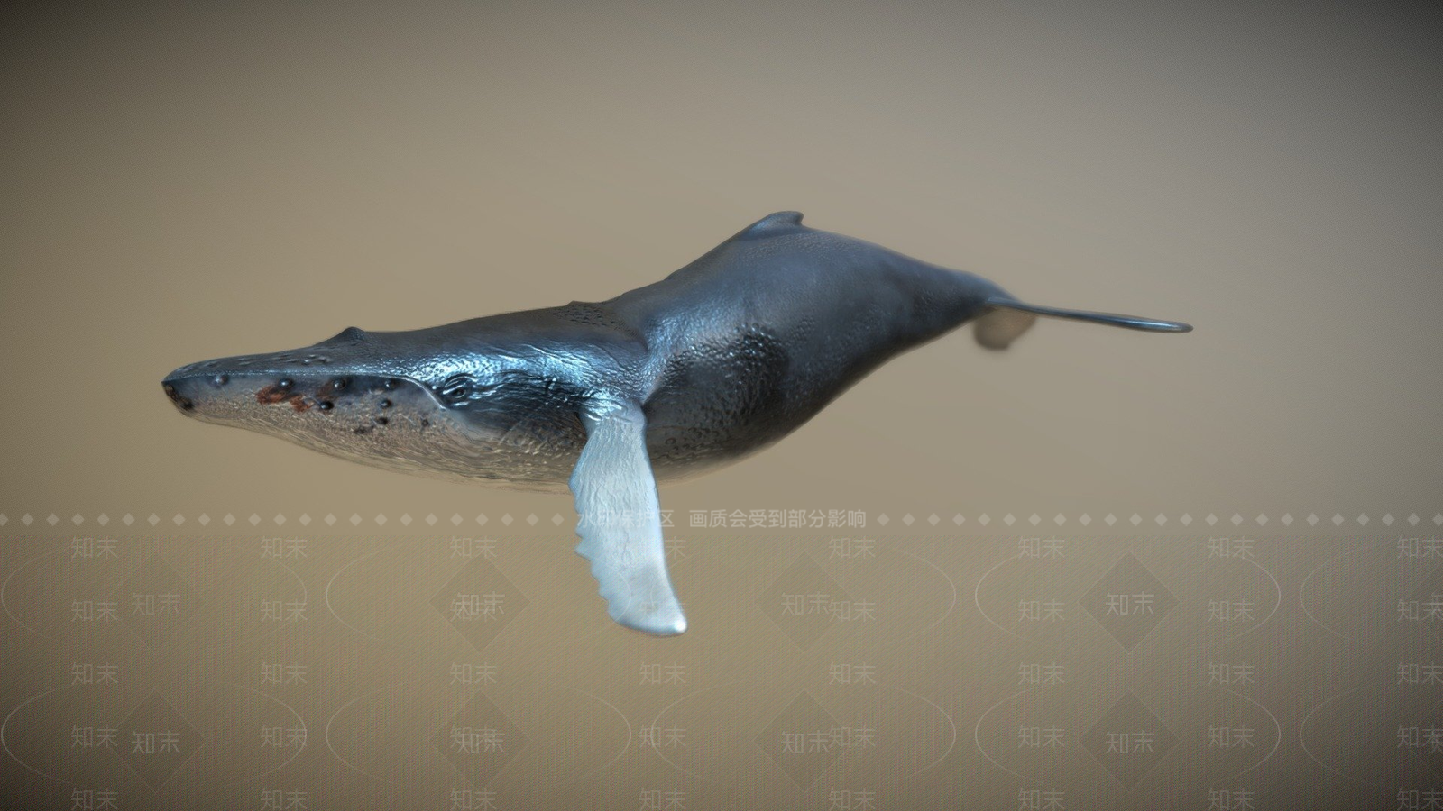 其他动物3D模型下载【ID:1196750049】