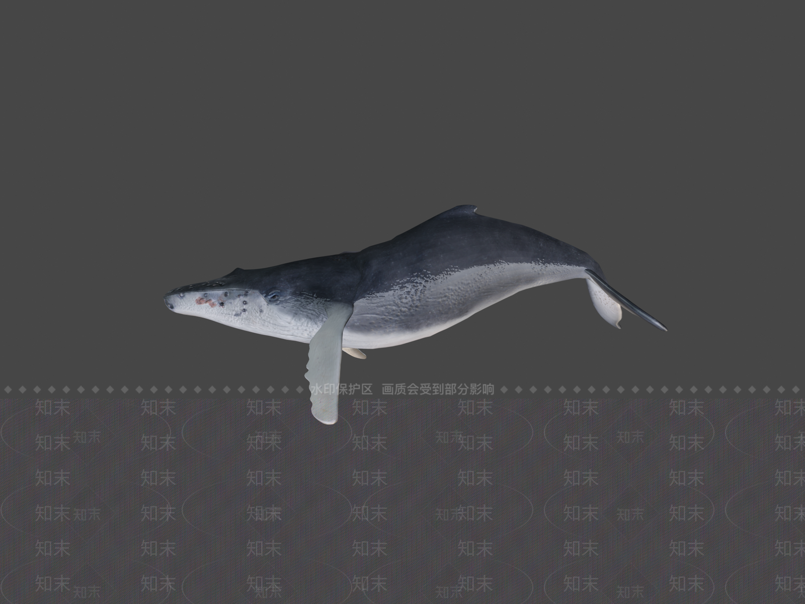 其他动物3D模型下载【ID:1196750049】