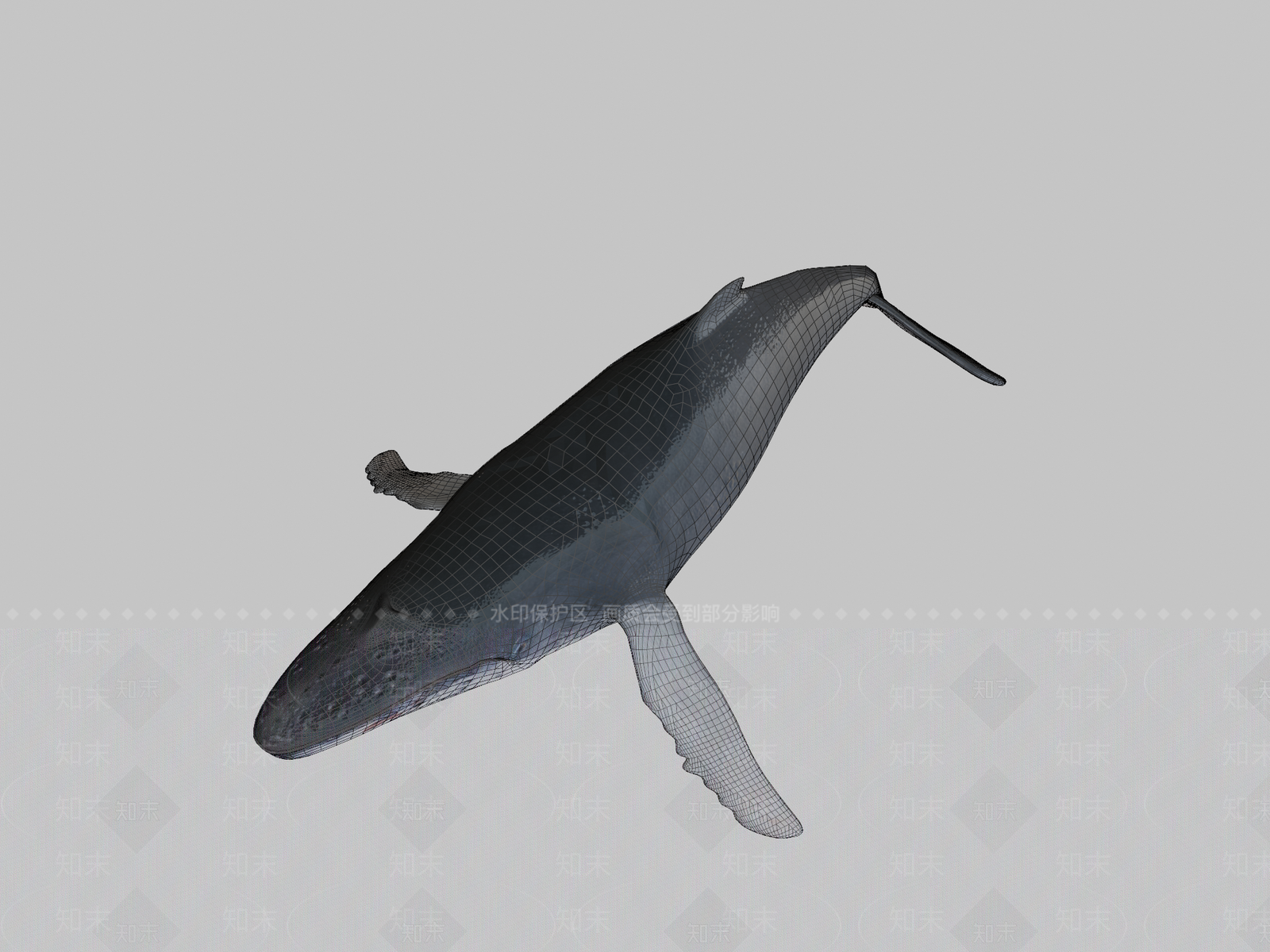 其他动物3D模型下载【ID:1196750049】