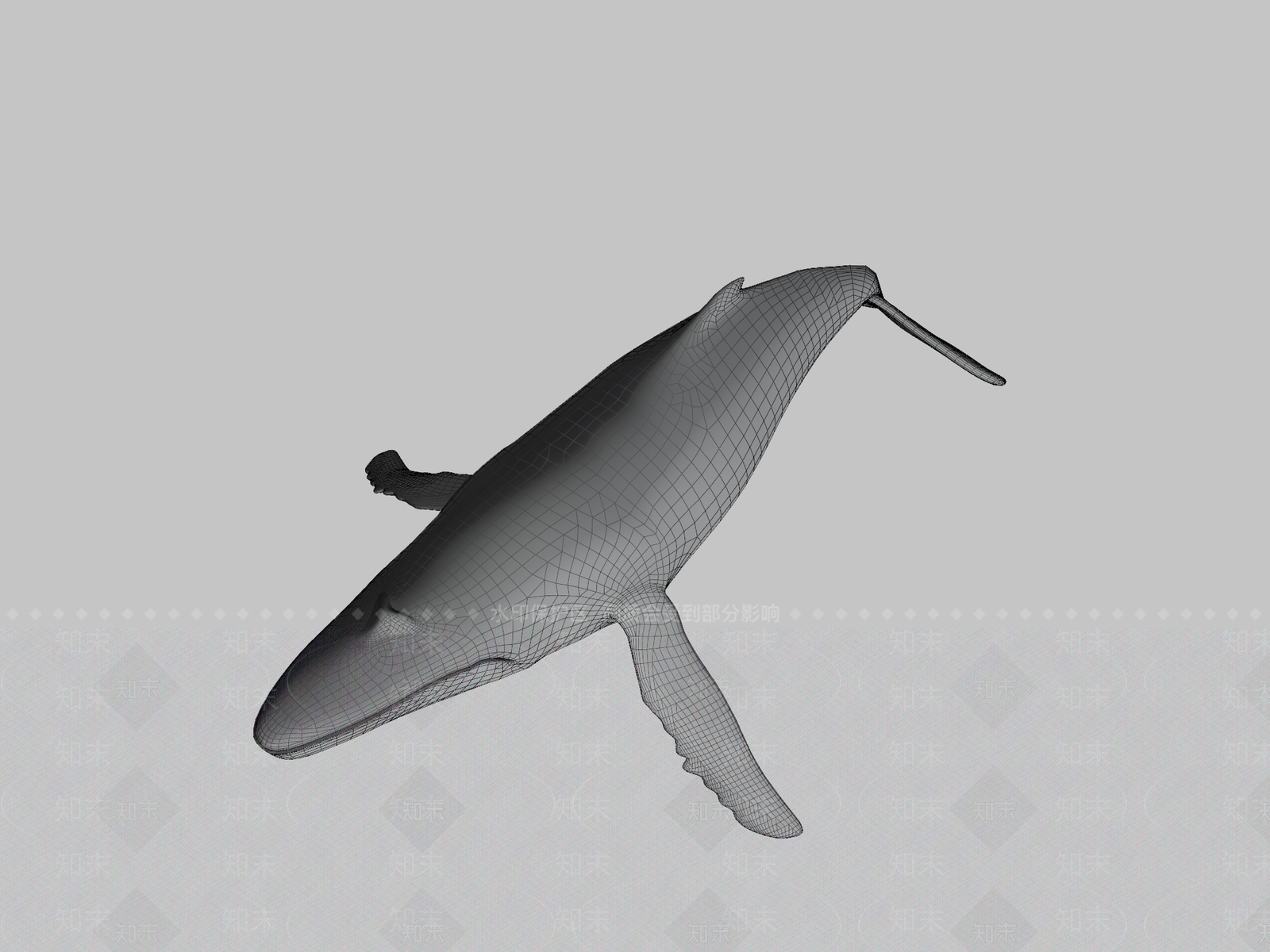 其他动物3D模型下载【ID:1196750049】