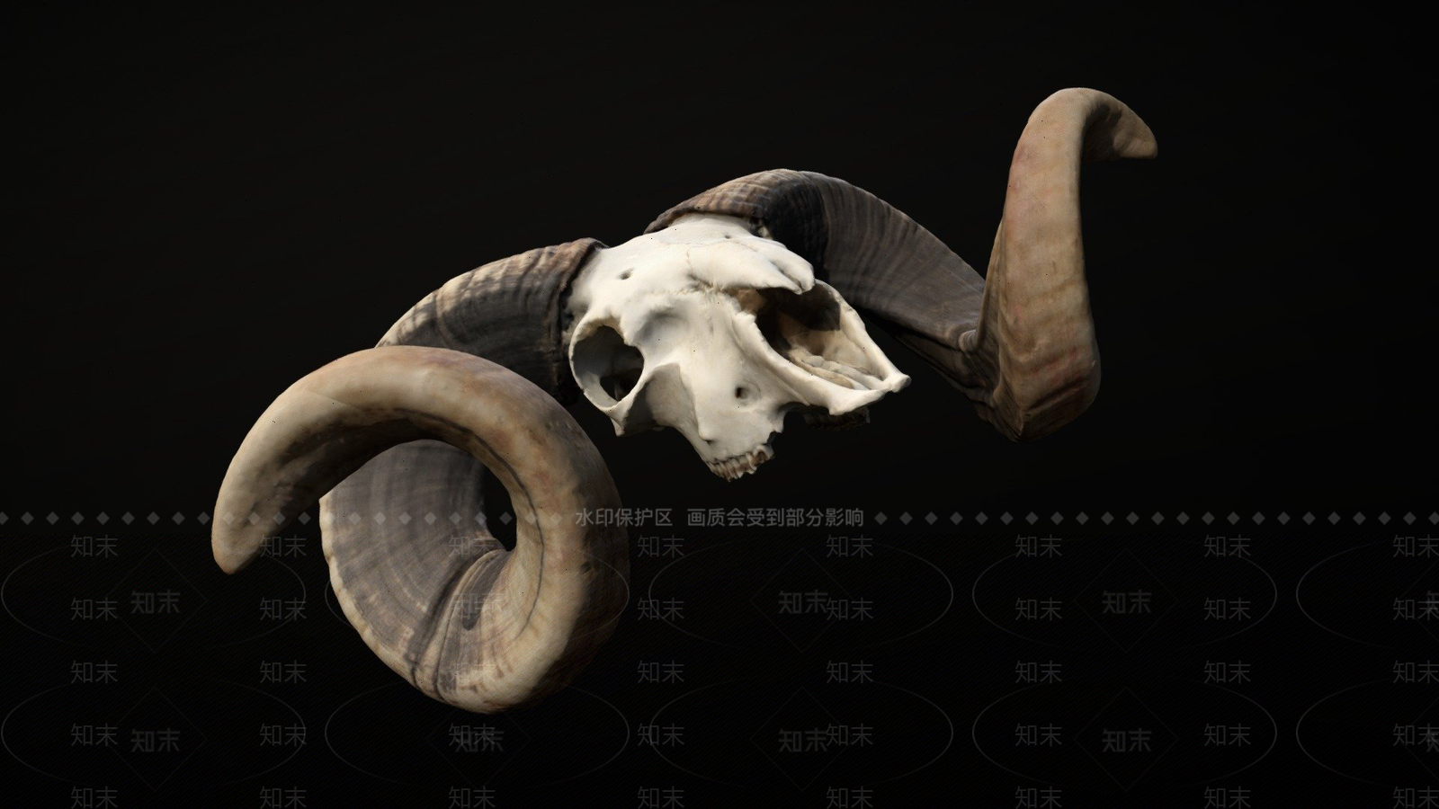 其他动物3D模型下载【ID:1196750223】