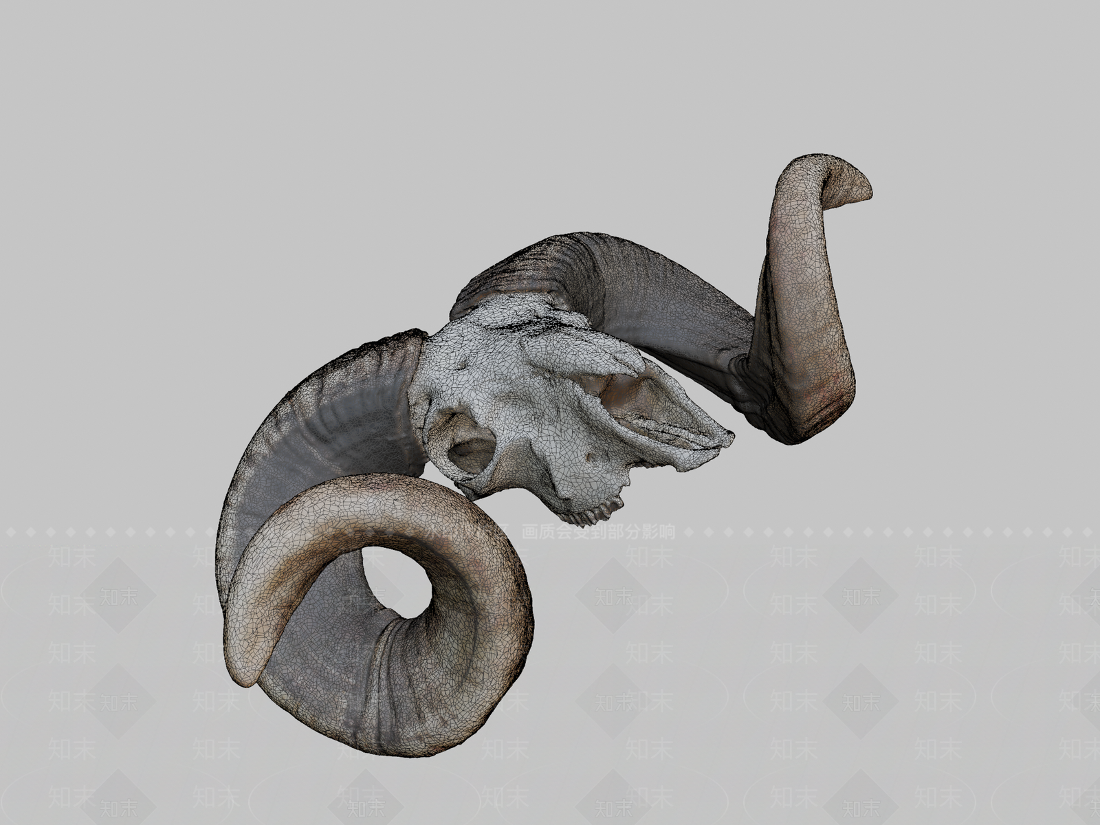 其他动物3D模型下载【ID:1196750223】