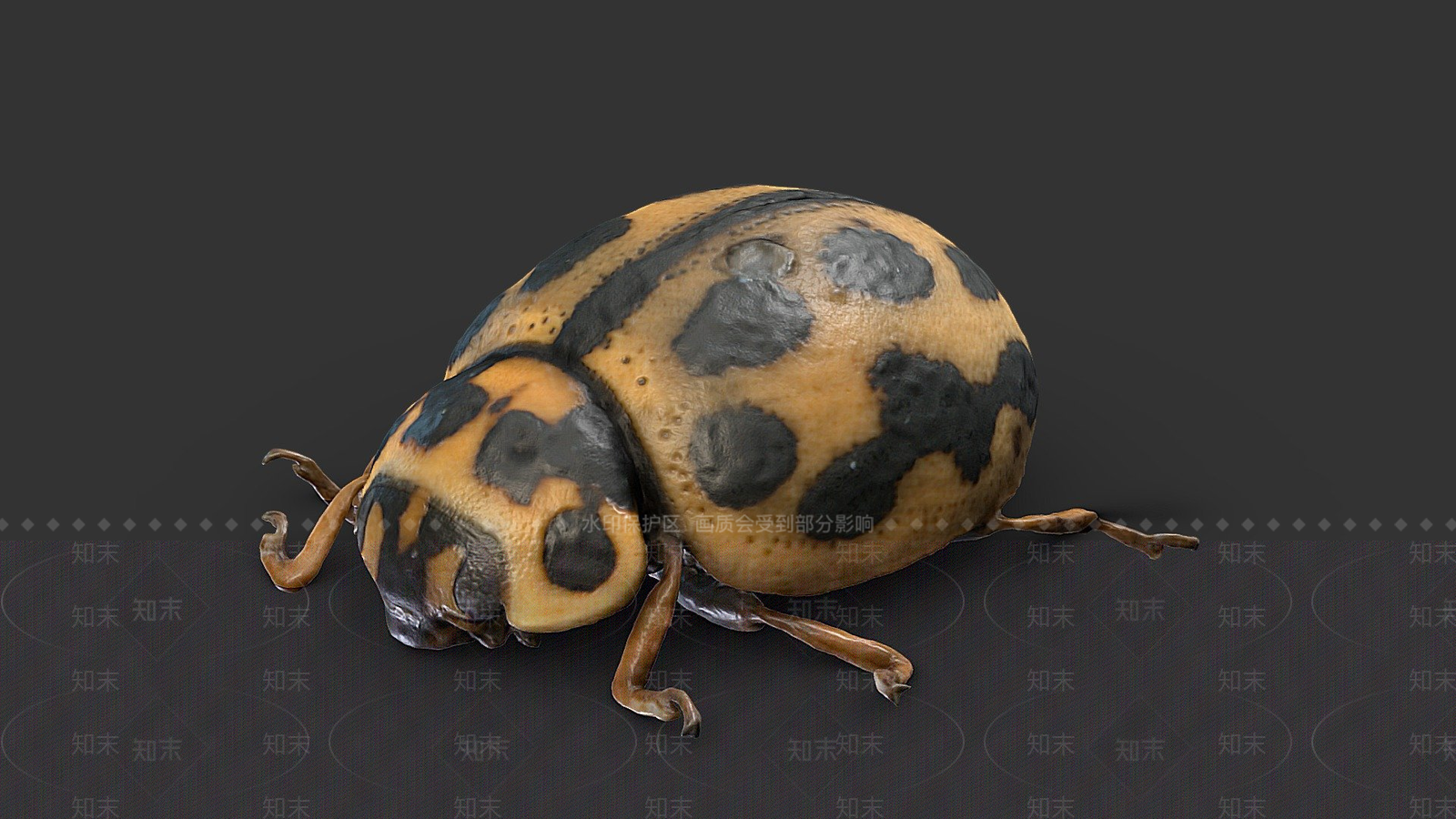 飞行类动物3D模型下载【ID:1196751101】
