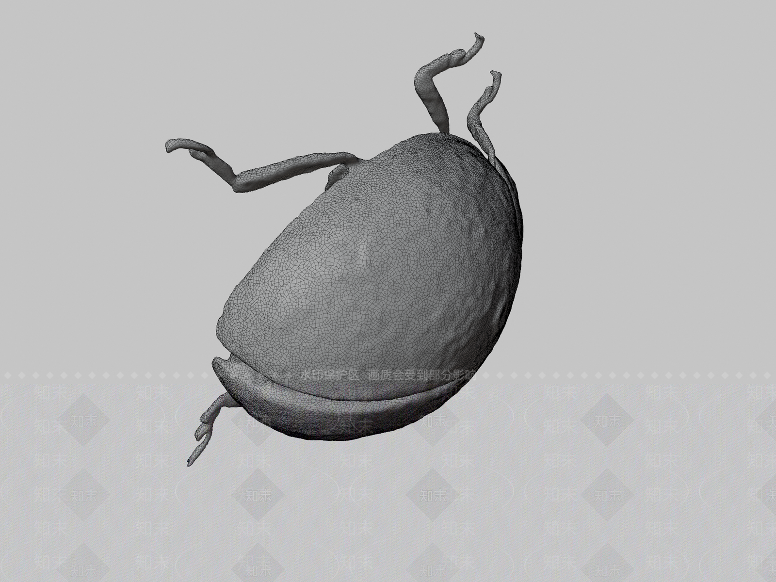 飞行类动物3D模型下载【ID:1196751101】