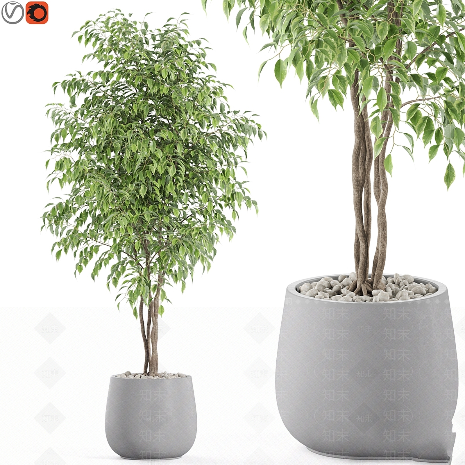 盆栽3D模型下载【ID:1196751932】