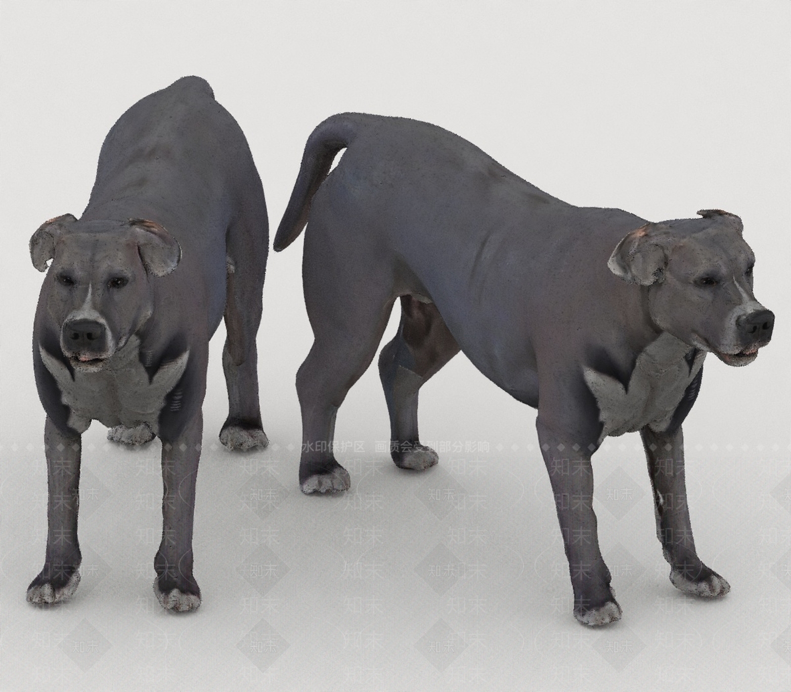 其他动物3D模型下载【ID:1196755233】