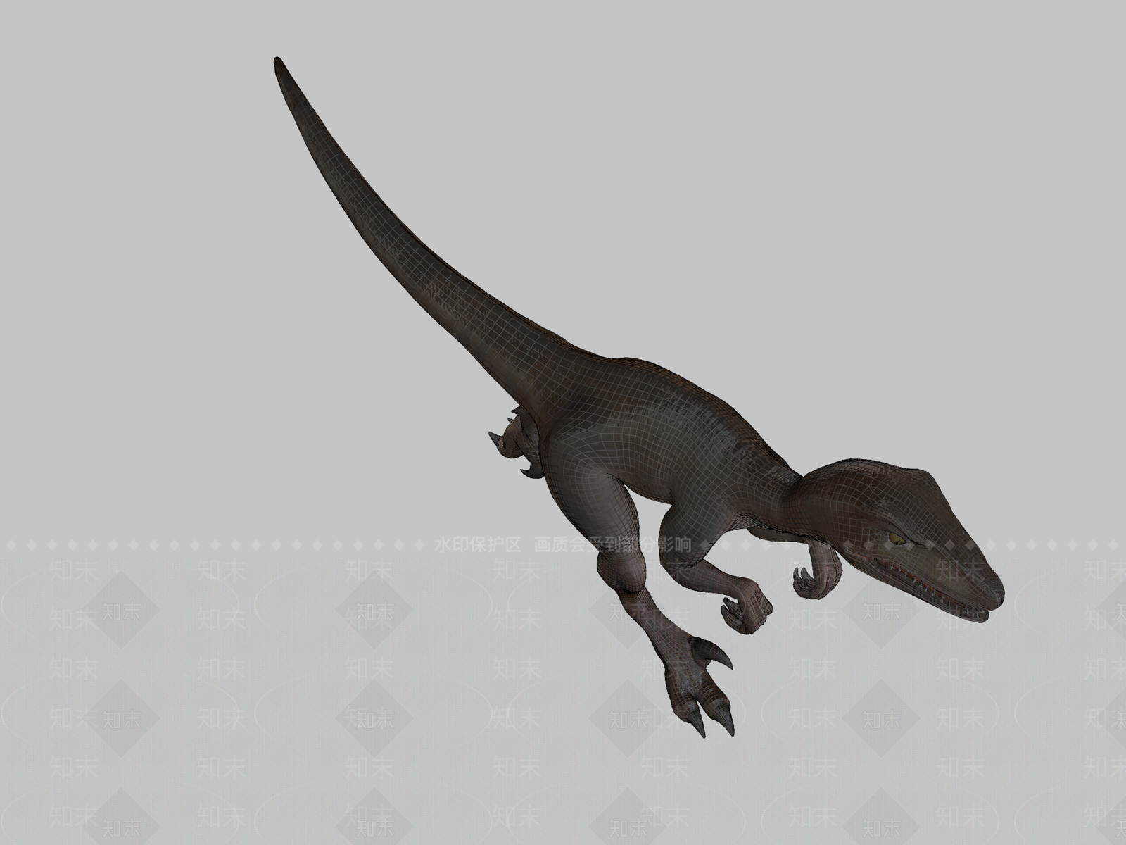 其他动物3D模型下载【ID:1196756350】