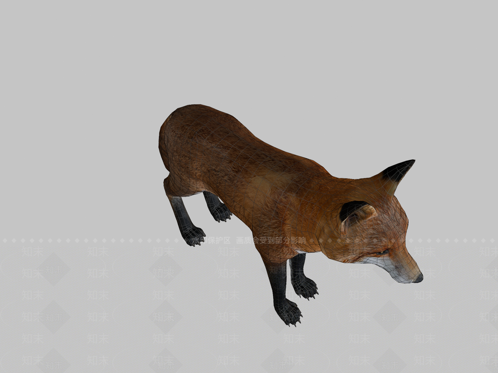 其他动物3D模型下载【ID:1196761593】