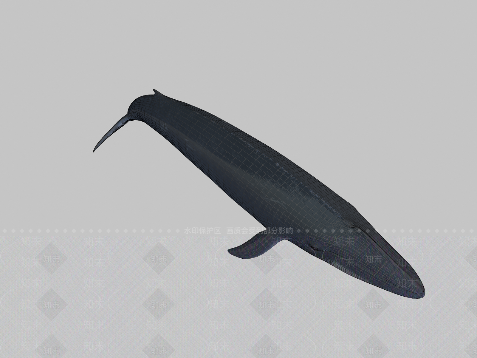其他动物3D模型下载【ID:1196761986】